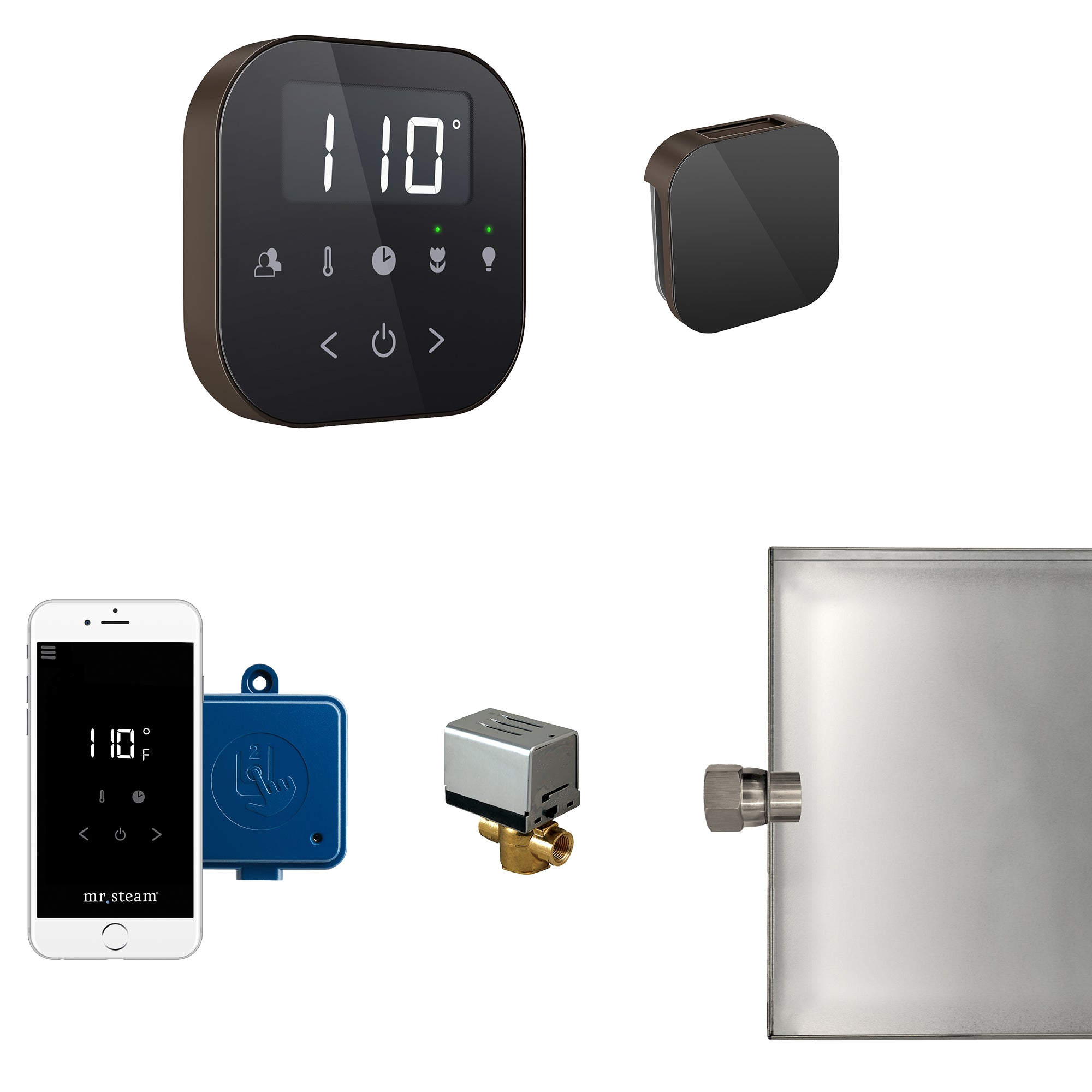 Mr Steam AirButler Steam Shower Control Package with AirTempo Control and Aroma Glass SteamHead