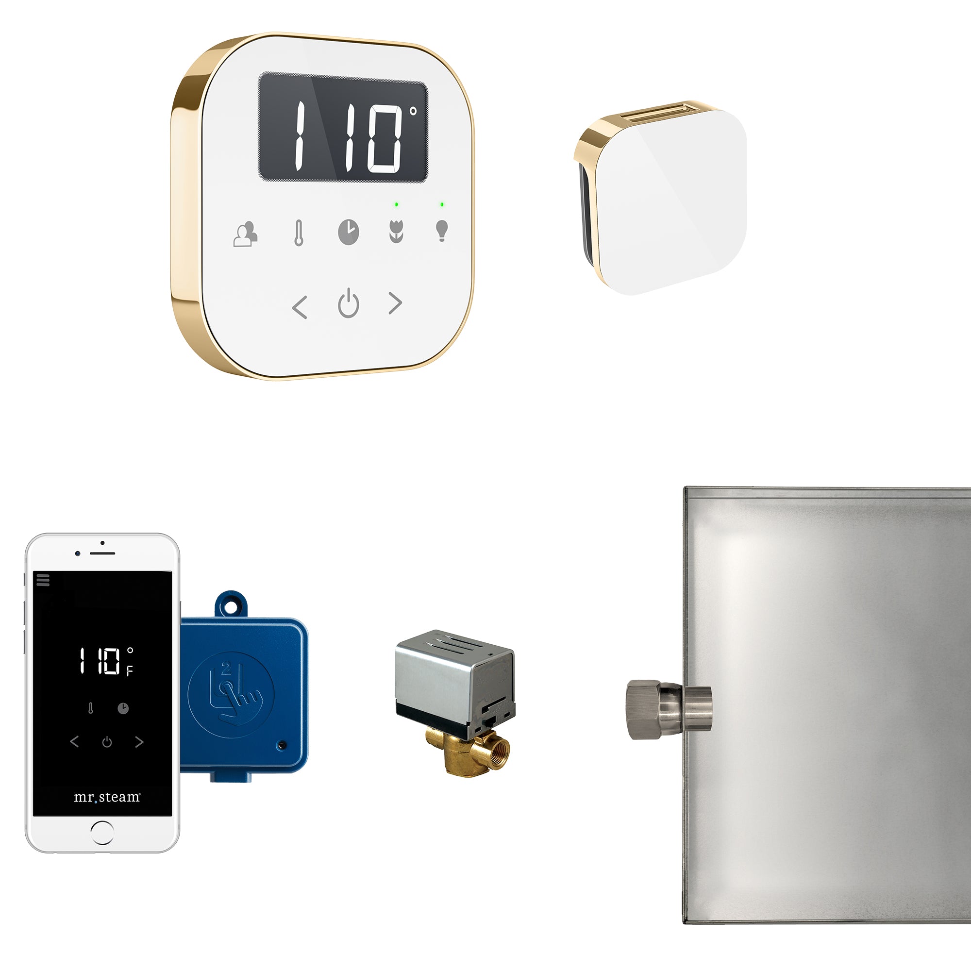 Mr Steam AirButler Steam Shower Control Package with AirTempo Control and Aroma Glass SteamHead