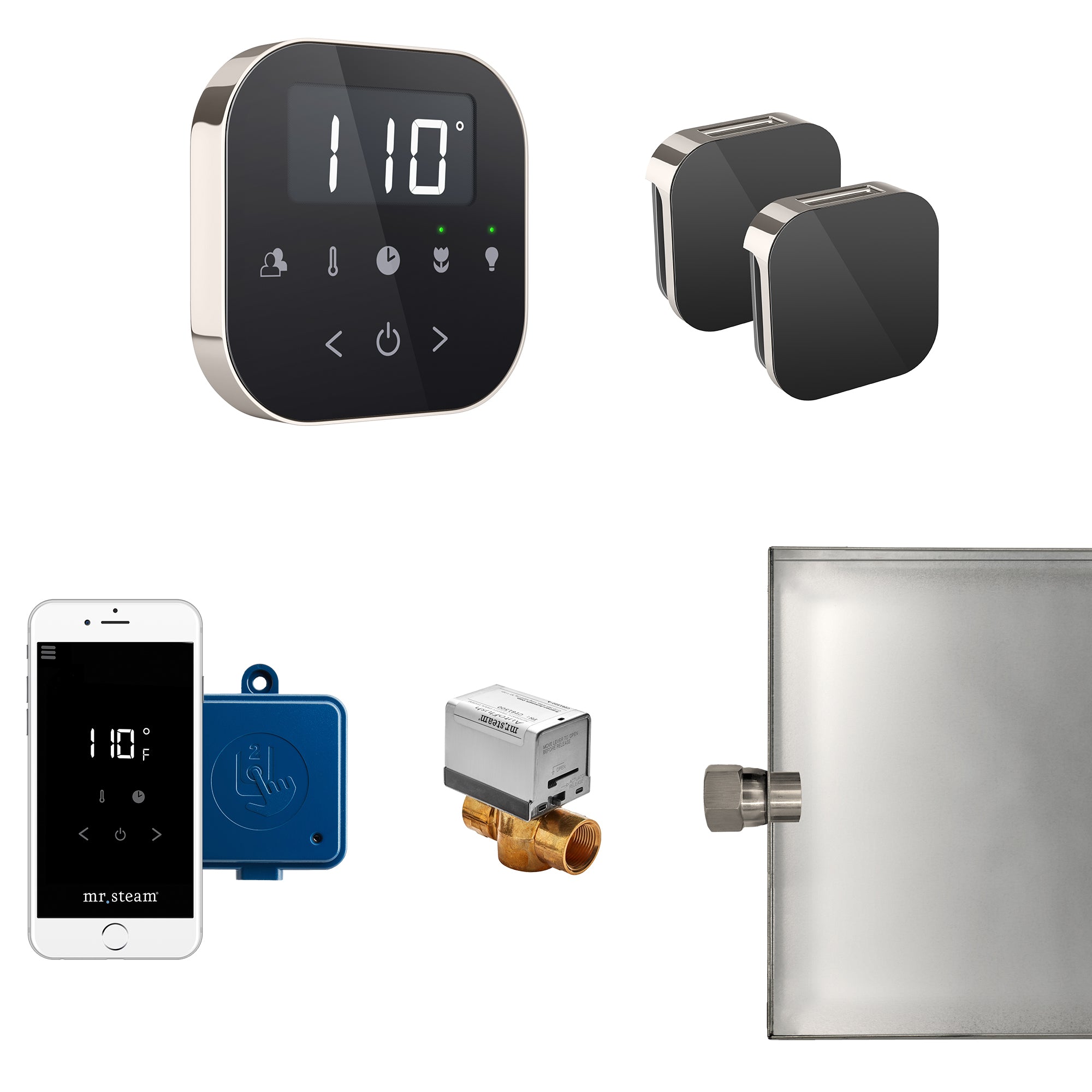 Mr Steam AirButler Max Steam Shower Control Package with AirTempo Control and Aroma Glass SteamHead
