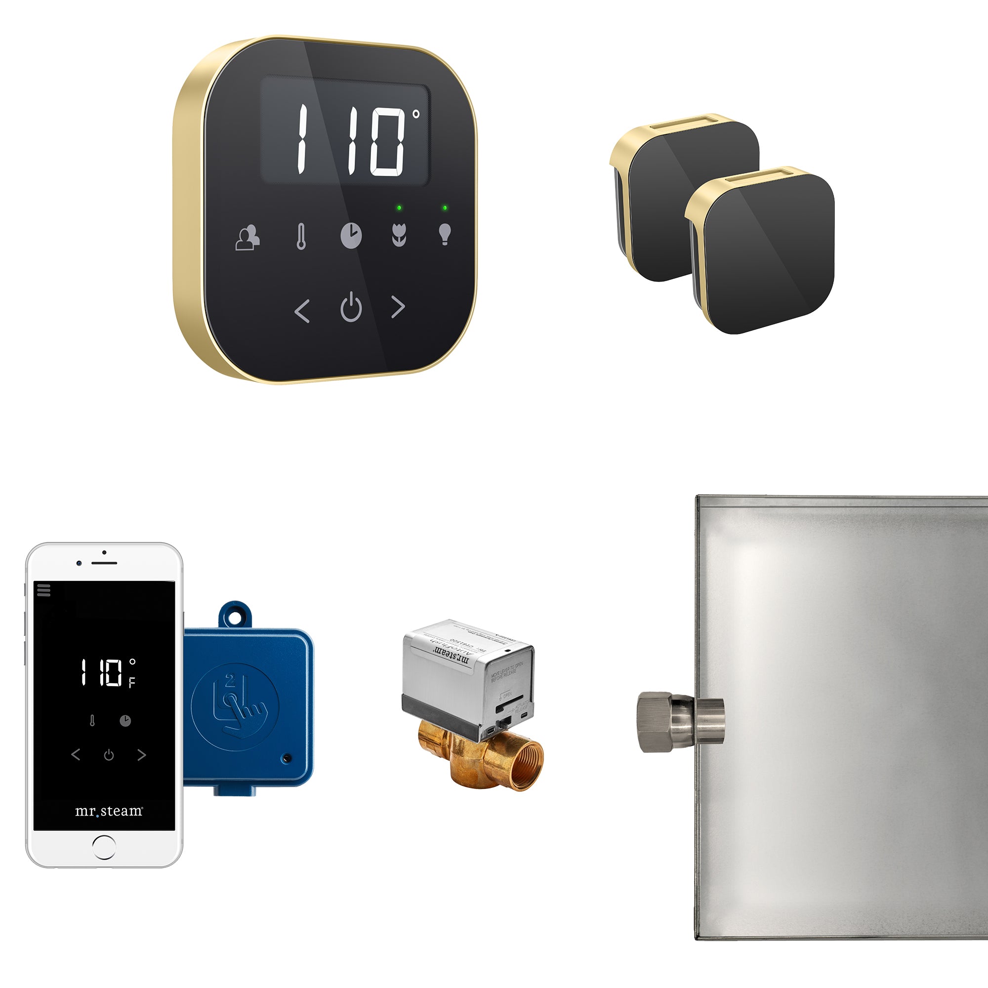 Mr Steam AirButler Max Steam Shower Control Package with AirTempo Control and Aroma Glass SteamHead