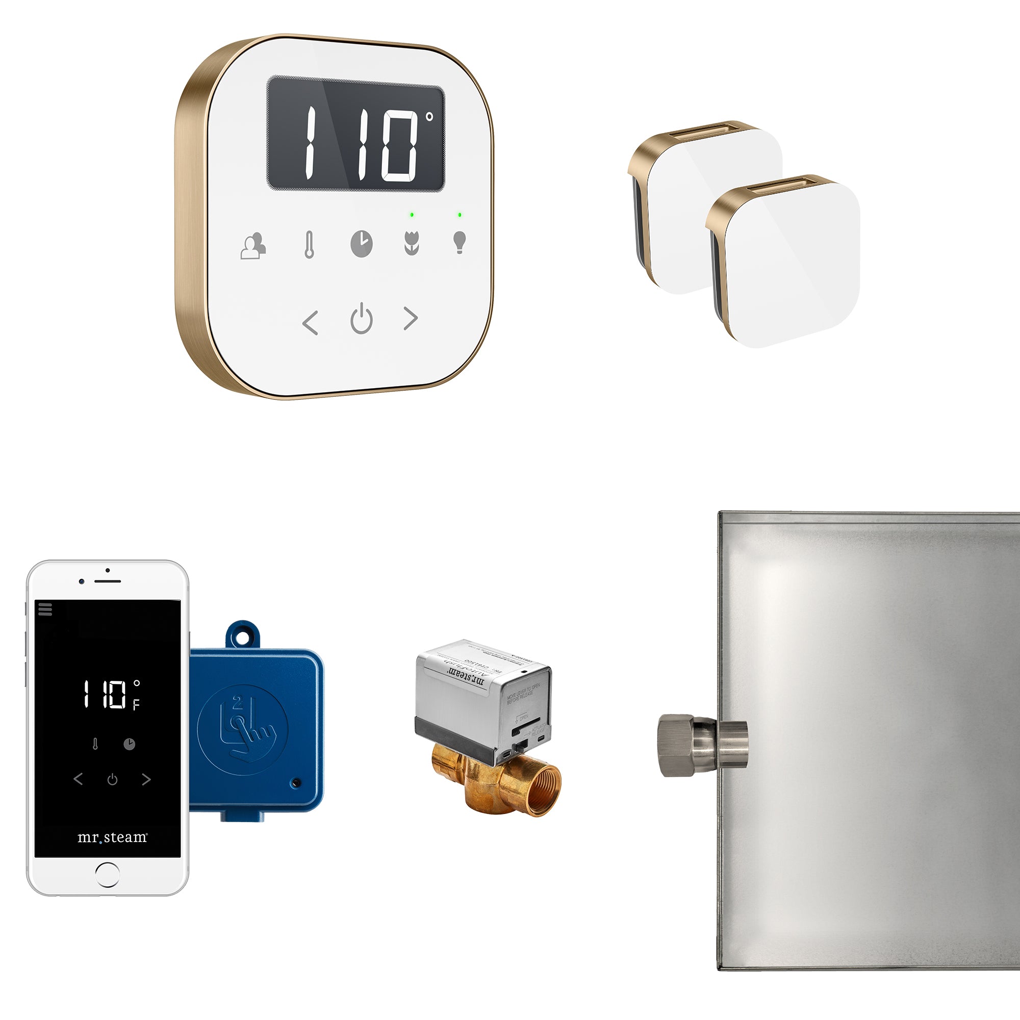 Mr Steam AirButler Max Steam Shower Control Package with AirTempo Control and Aroma Glass SteamHead