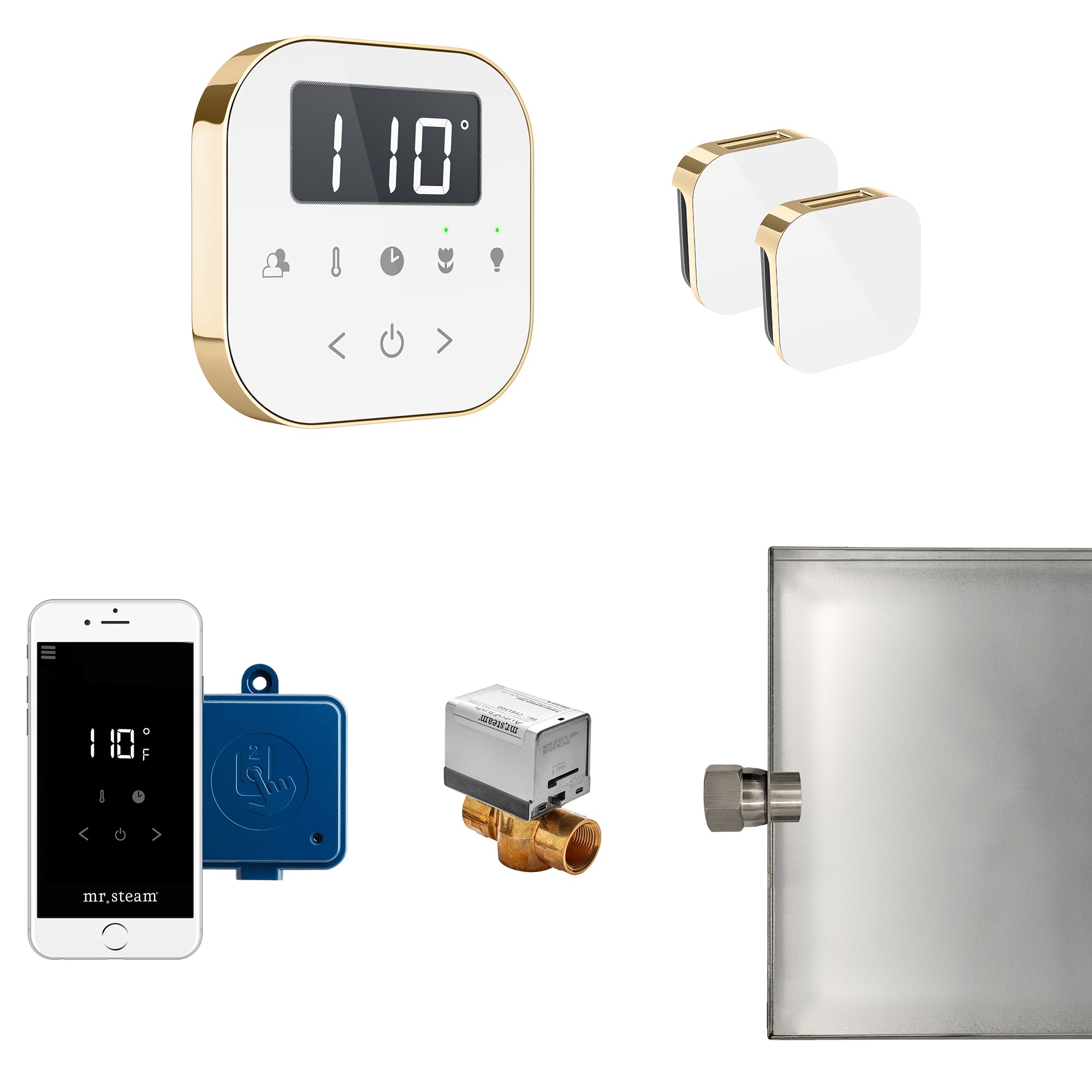 Mr Steam AirButler Max Steam Shower Control Package with AirTempo Control and Aroma Glass SteamHead