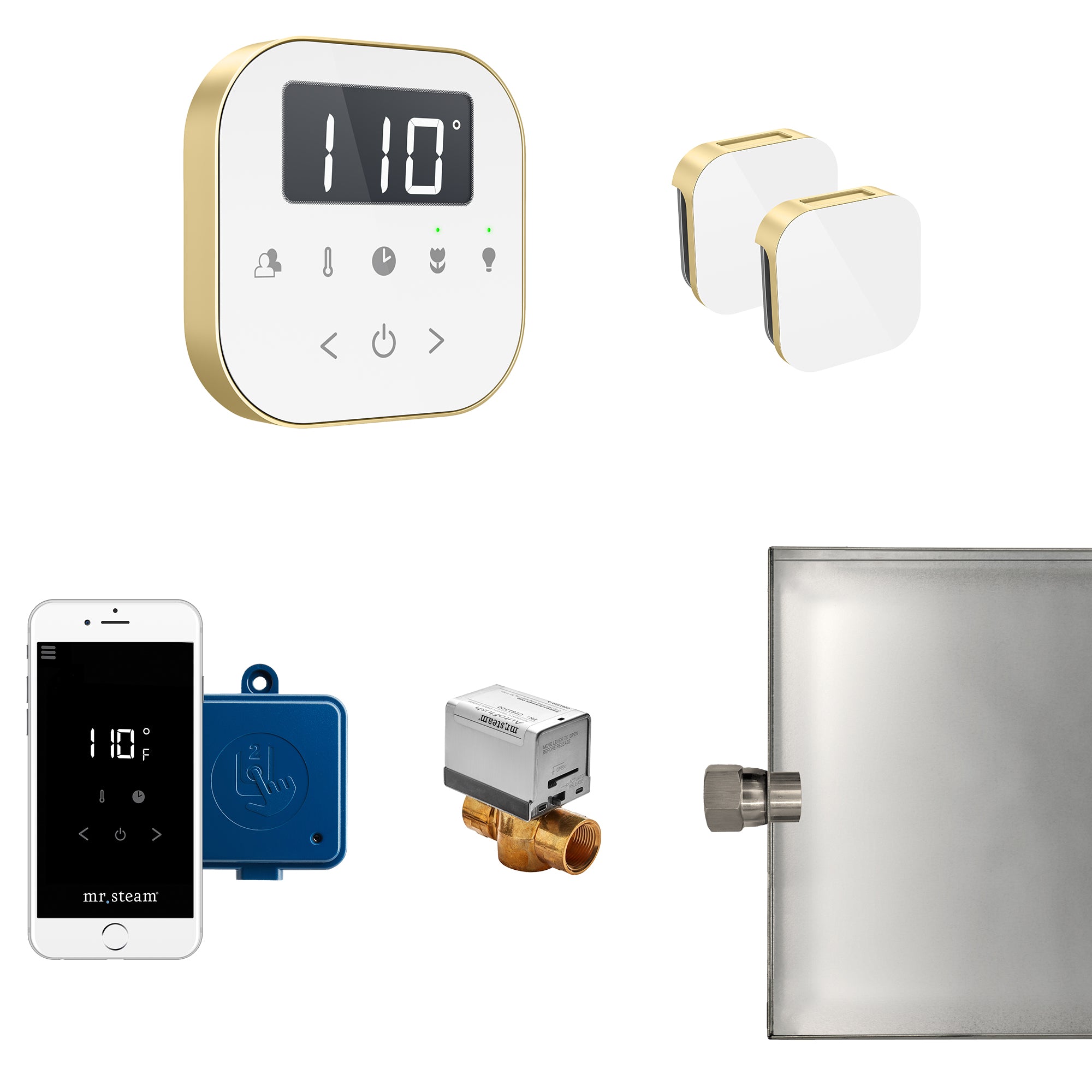 Mr Steam AirButler Max Steam Shower Control Package with AirTempo Control and Aroma Glass SteamHead