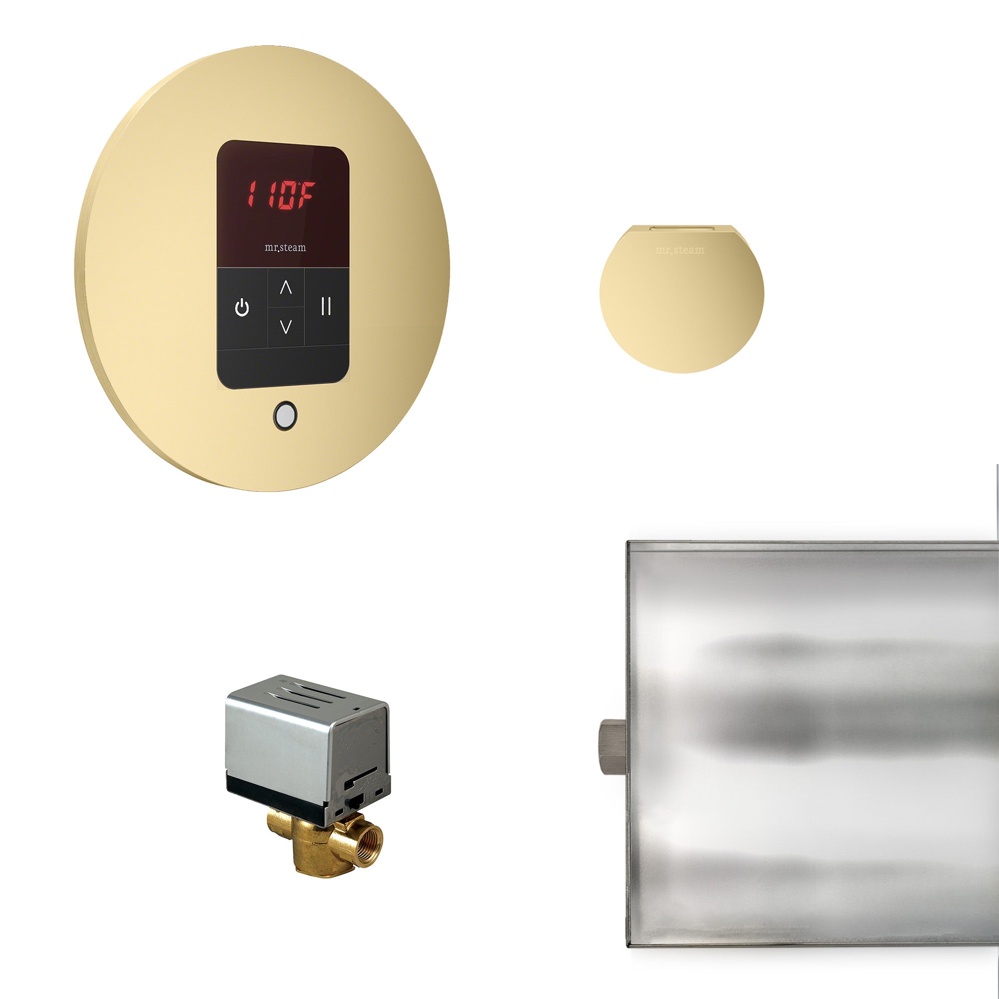 Mr Steam Basic Butler Steam Shower Control Package with iTempo Control and Aroma Designer SteamHead