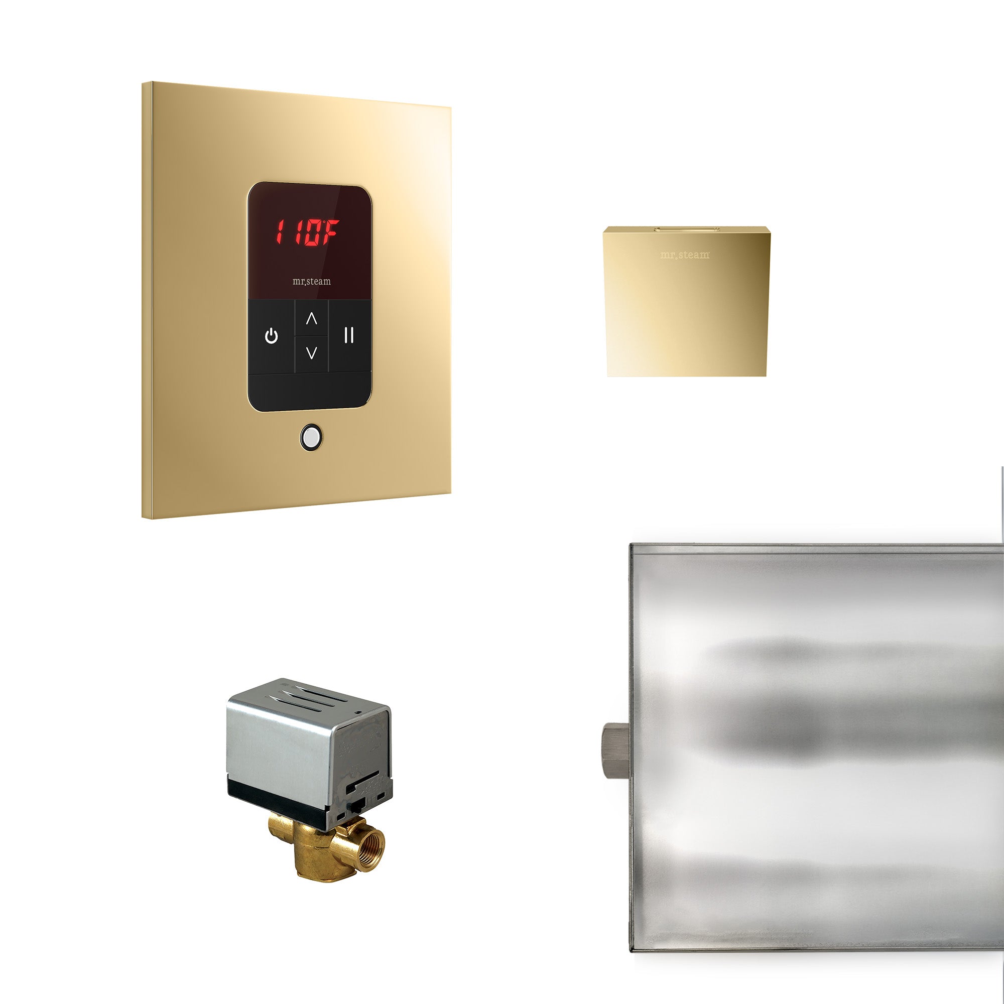 Mr Steam Basic Butler Steam Shower Control Package with iTempo Control and Aroma Designer SteamHead