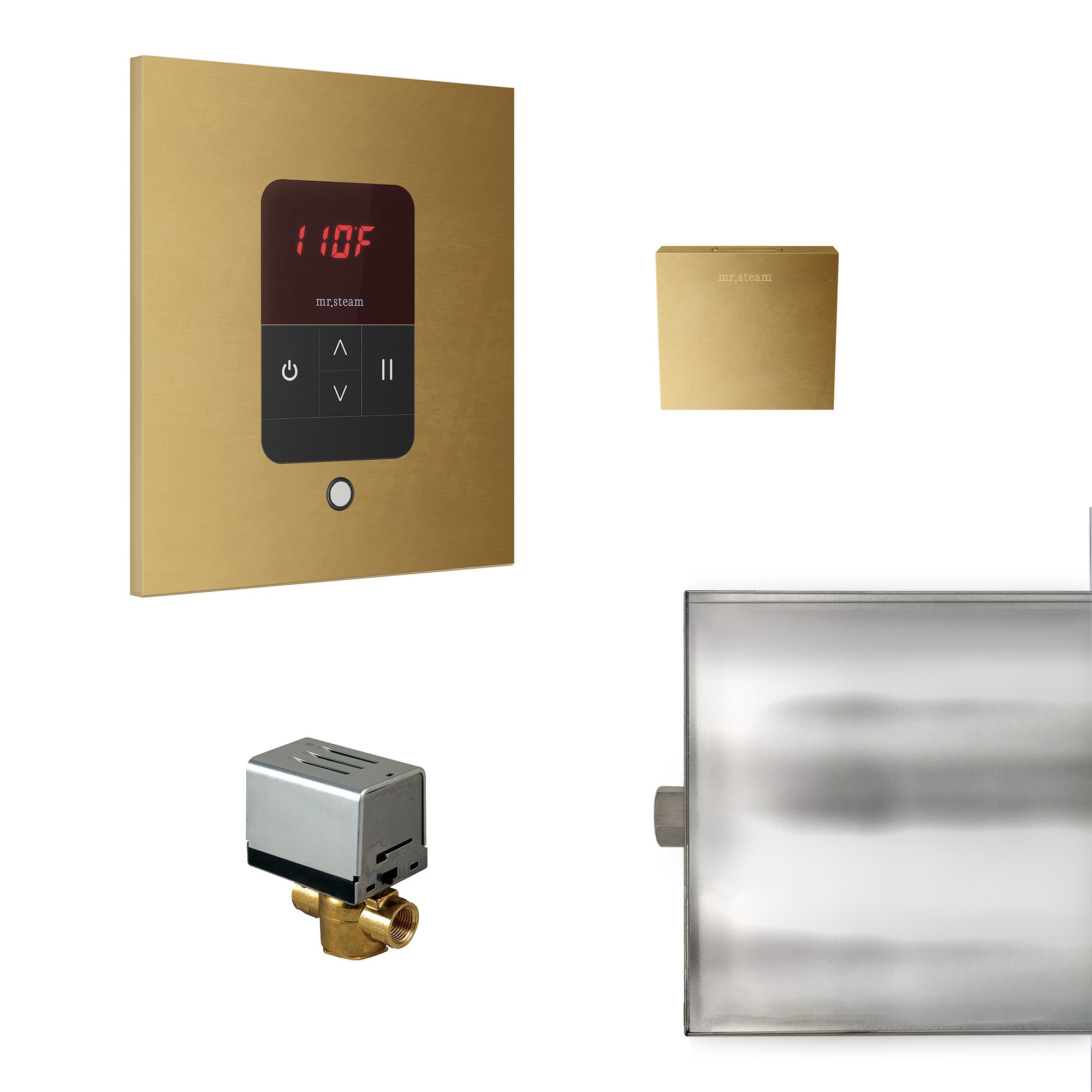 Mr Steam Basic Butler Steam Shower Control Package with iTempo Control and Aroma Designer SteamHead