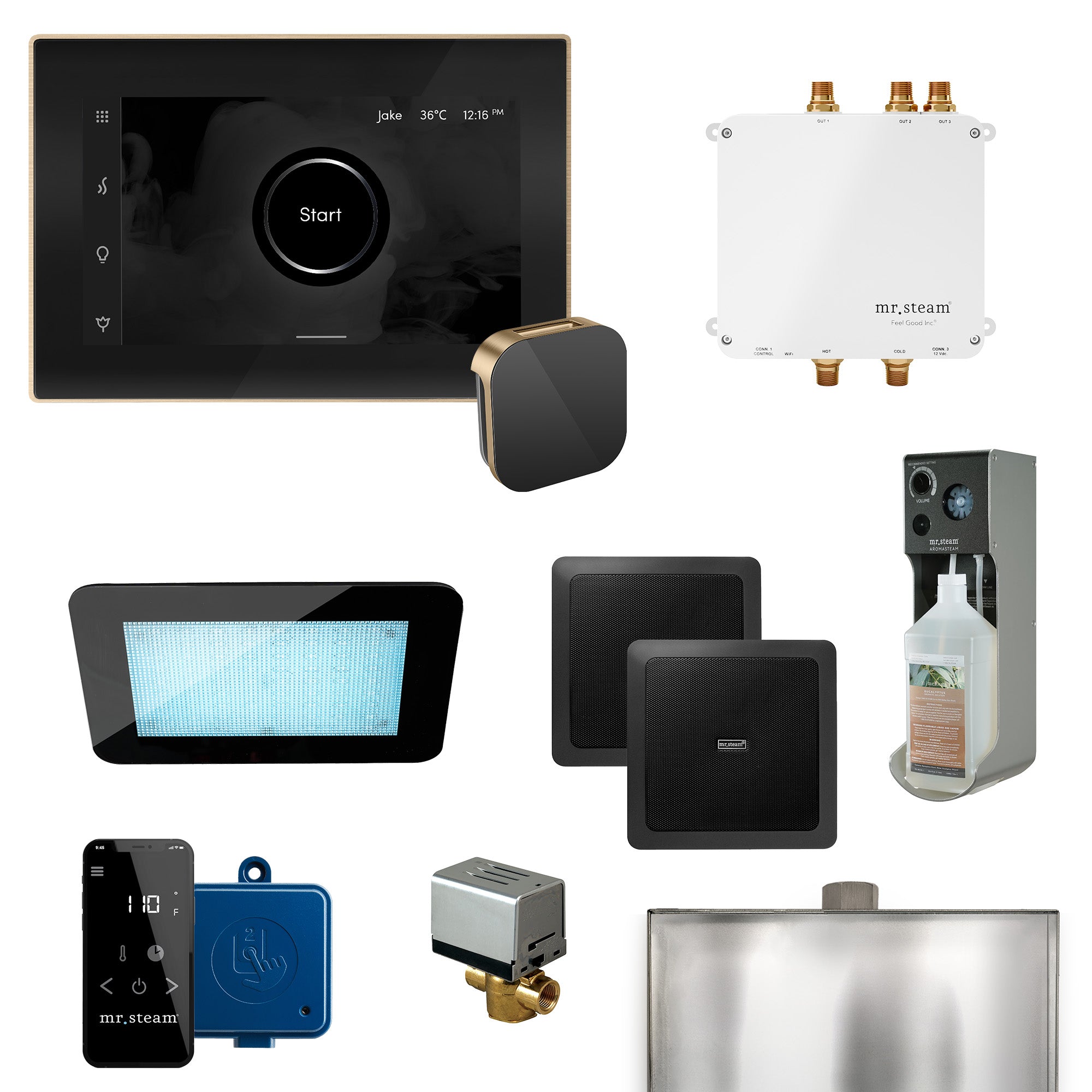 Mr Steam Bliss Programmable Steam Generator Control Kit with iSteamX Control and Aroma Glass Steamhead