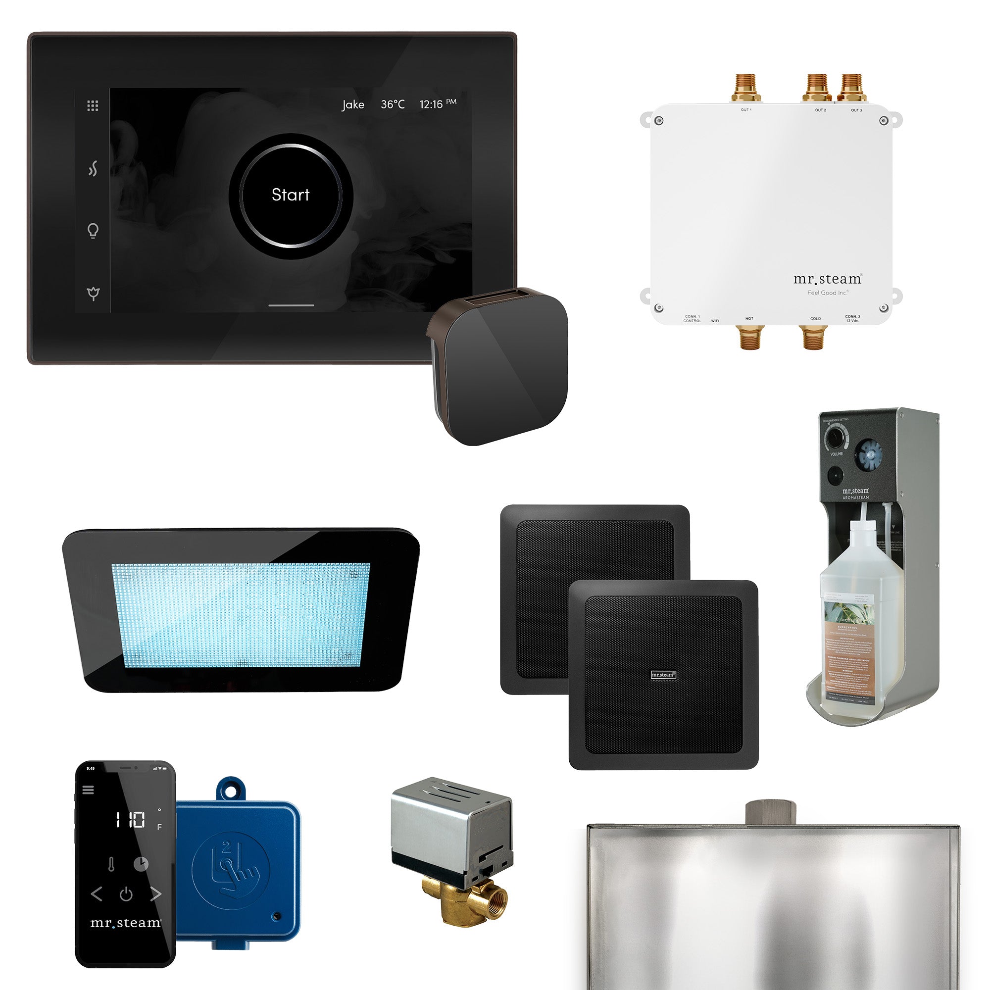 Mr Steam Bliss Programmable Steam Generator Control Kit with iSteamX Control and Aroma Glass Steamhead