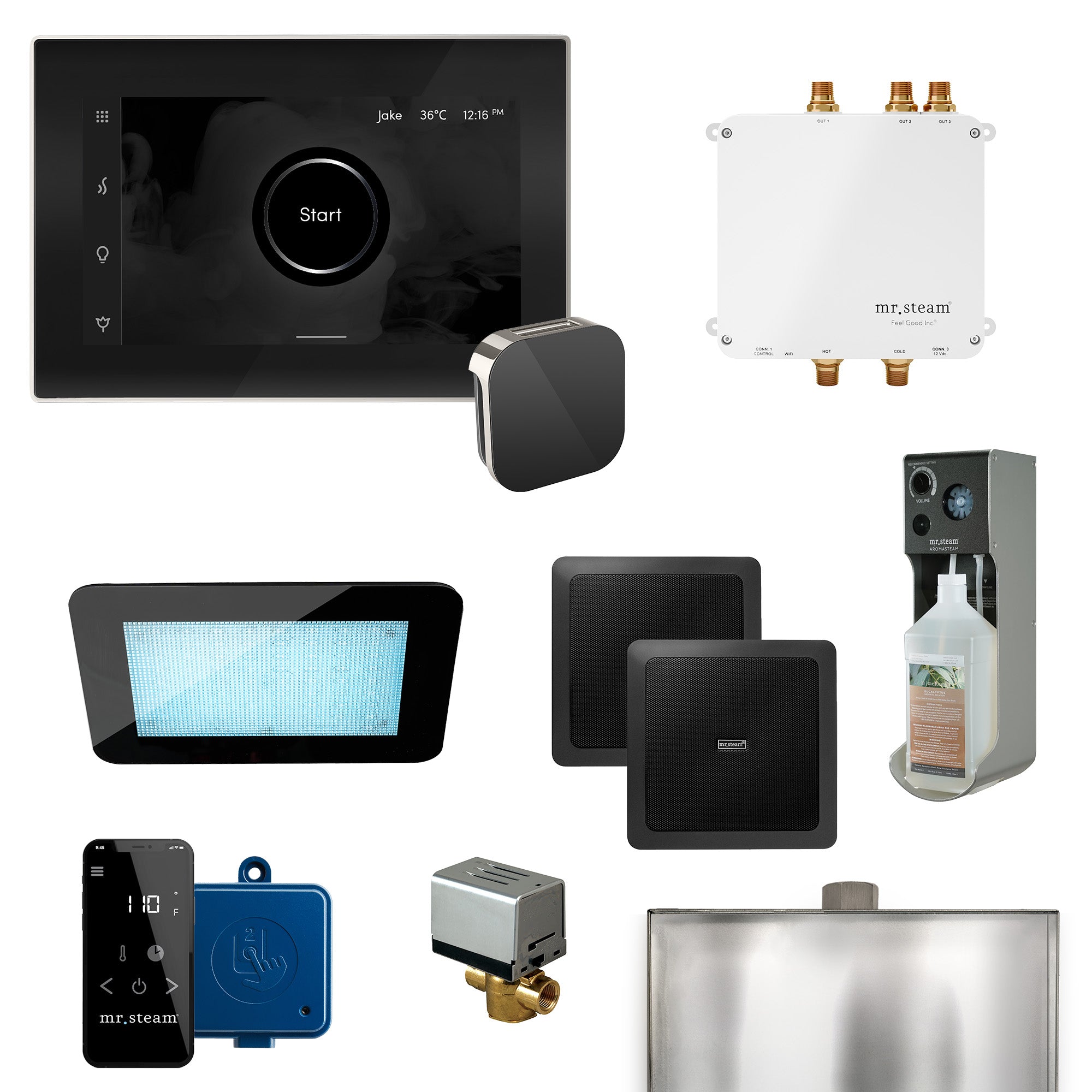 Mr Steam Bliss Programmable Steam Generator Control Kit with iSteamX Control and Aroma Glass Steamhead
