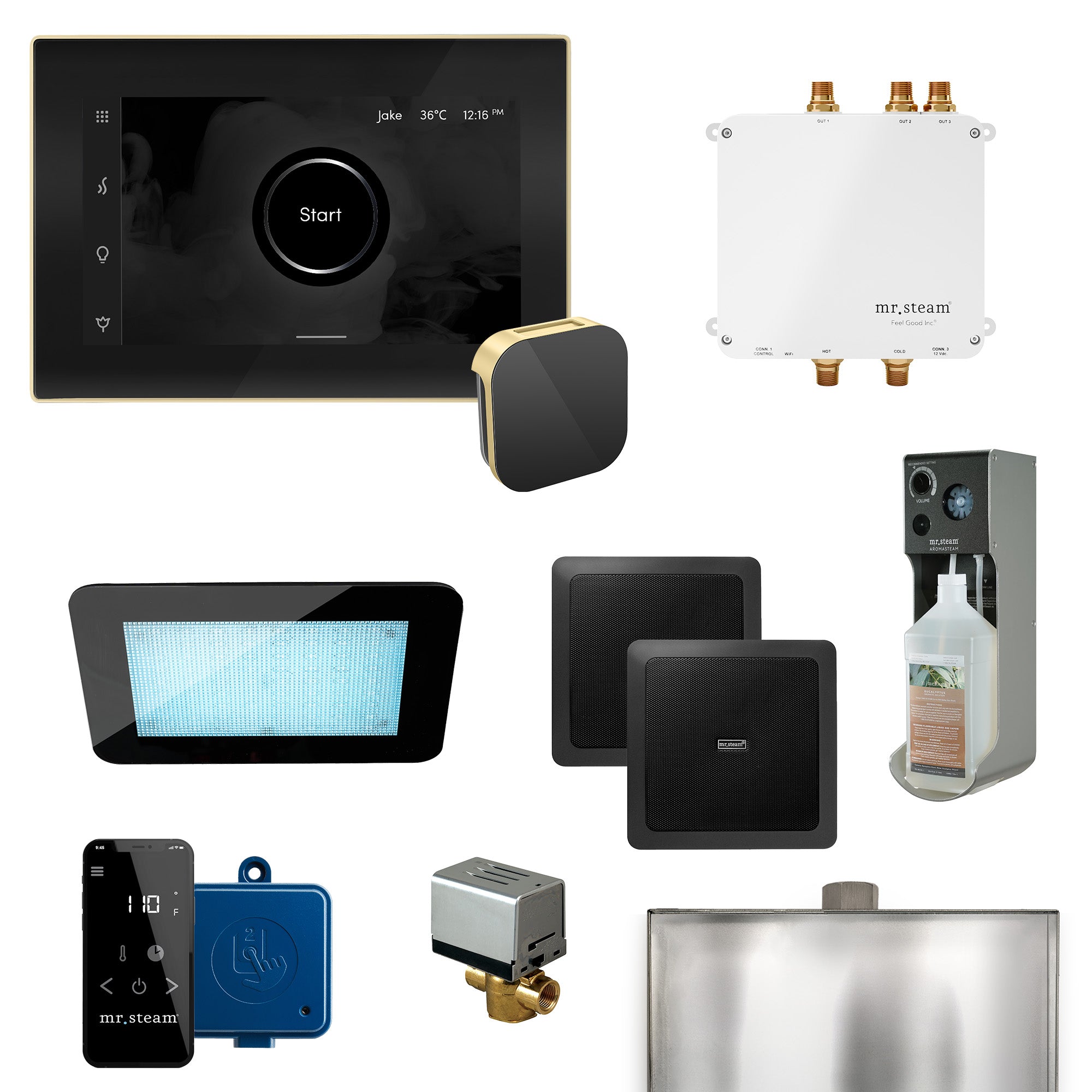 Mr Steam Bliss Programmable Steam Generator Control Kit with iSteamX Control and Aroma Glass Steamhead