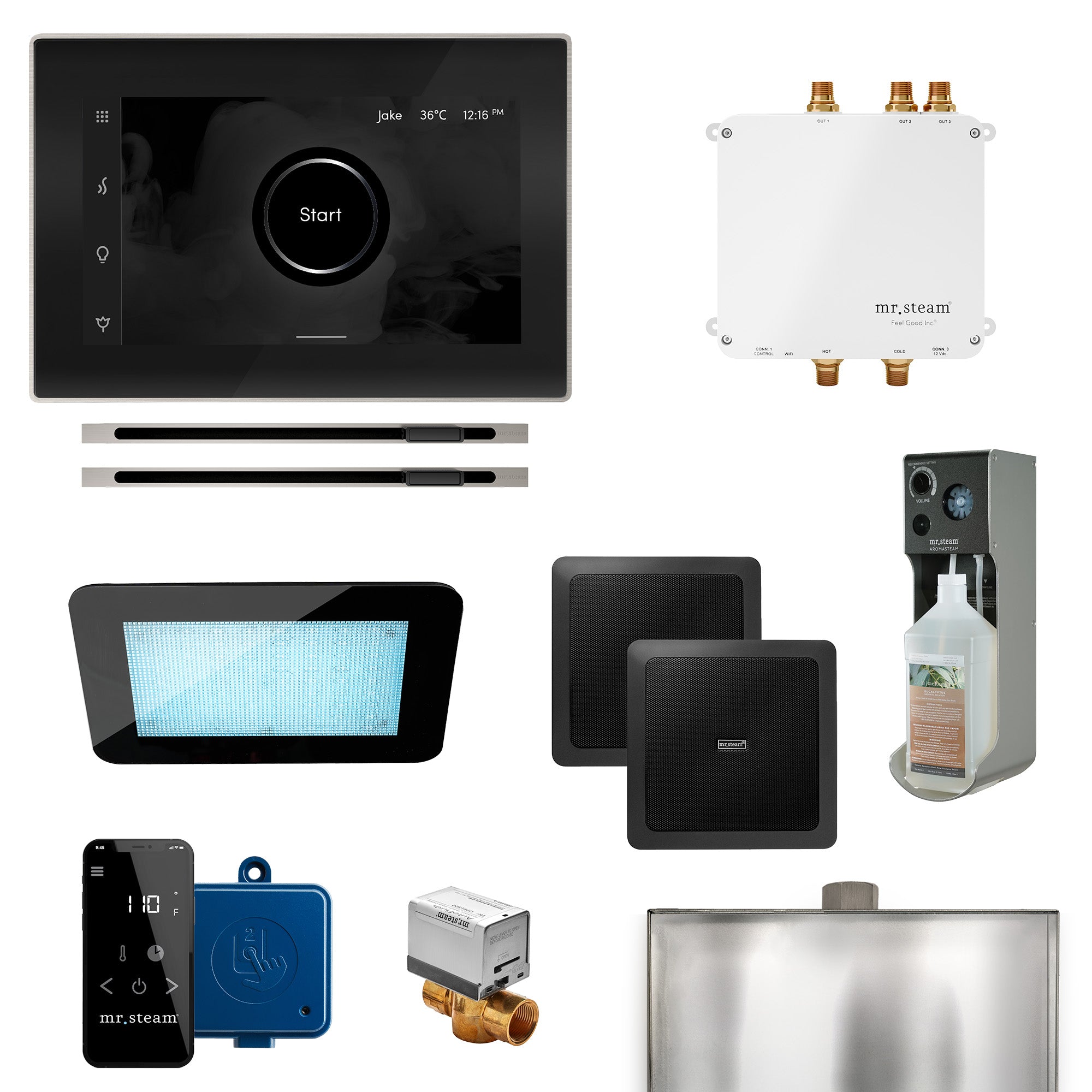 Mr Steam Bliss Max Linear Programmable Steam Generator Control Kit with iSteamX Control and Linear Steamhead