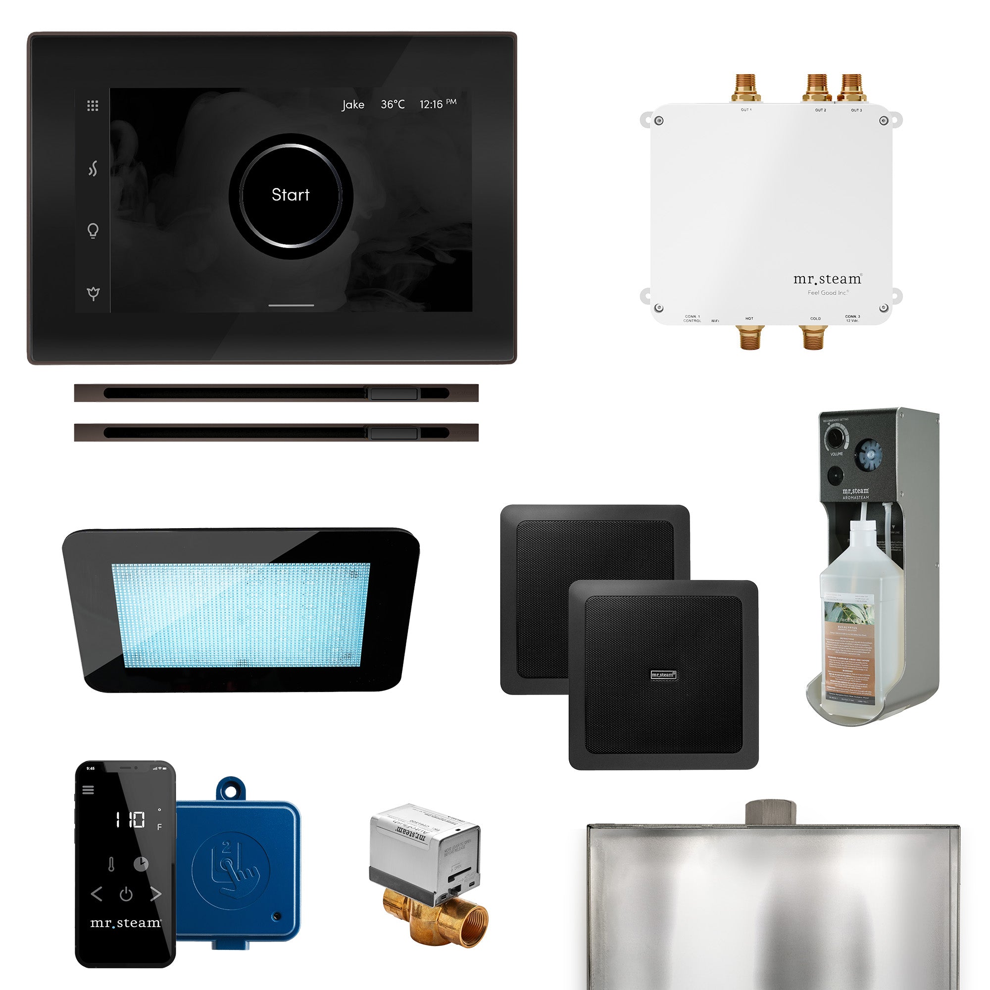 Mr Steam Bliss Max Linear Programmable Steam Generator Control Kit with iSteamX Control and Linear Steamhead