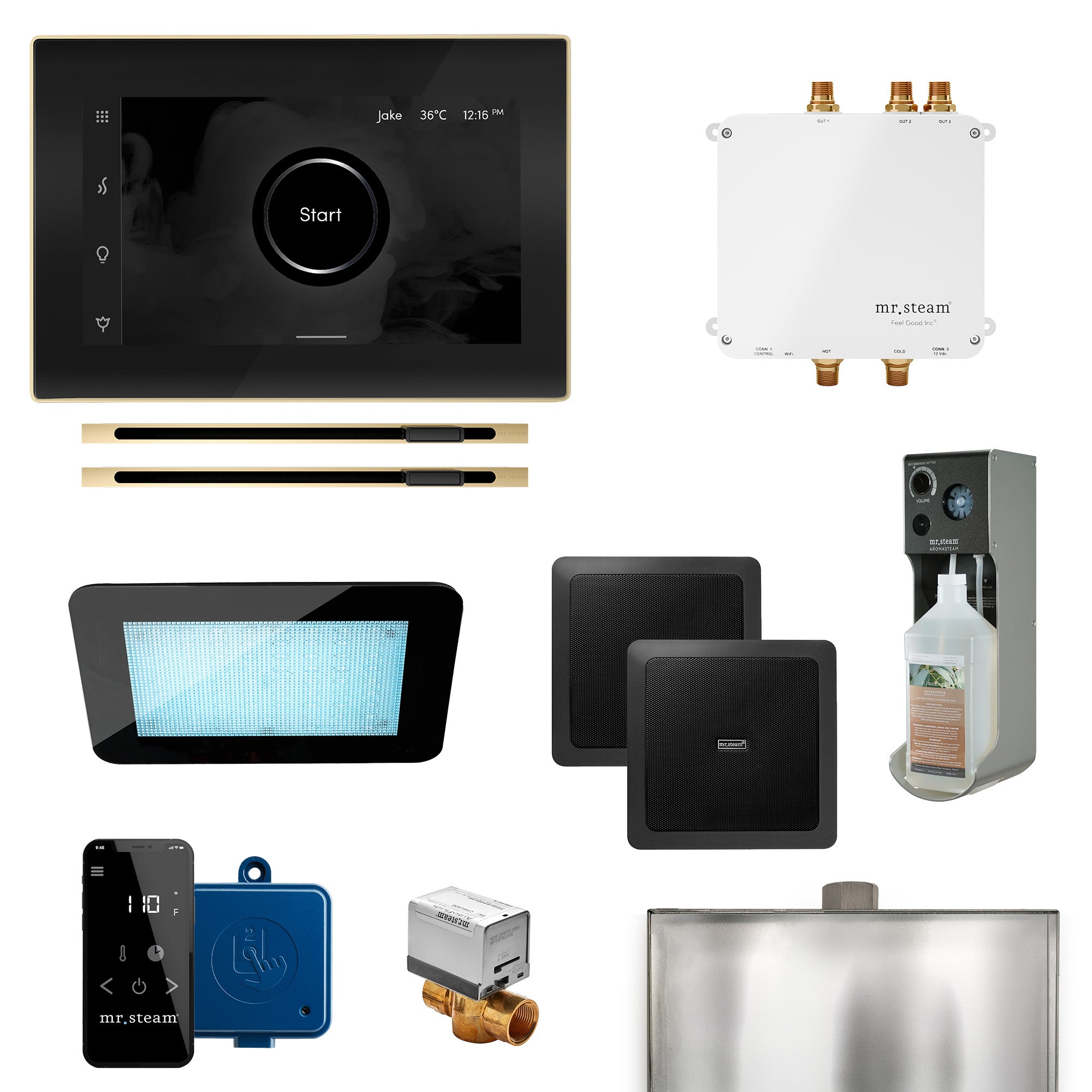 Mr Steam Bliss Max Linear Programmable Steam Generator Control Kit with iSteamX Control and Linear Steamhead