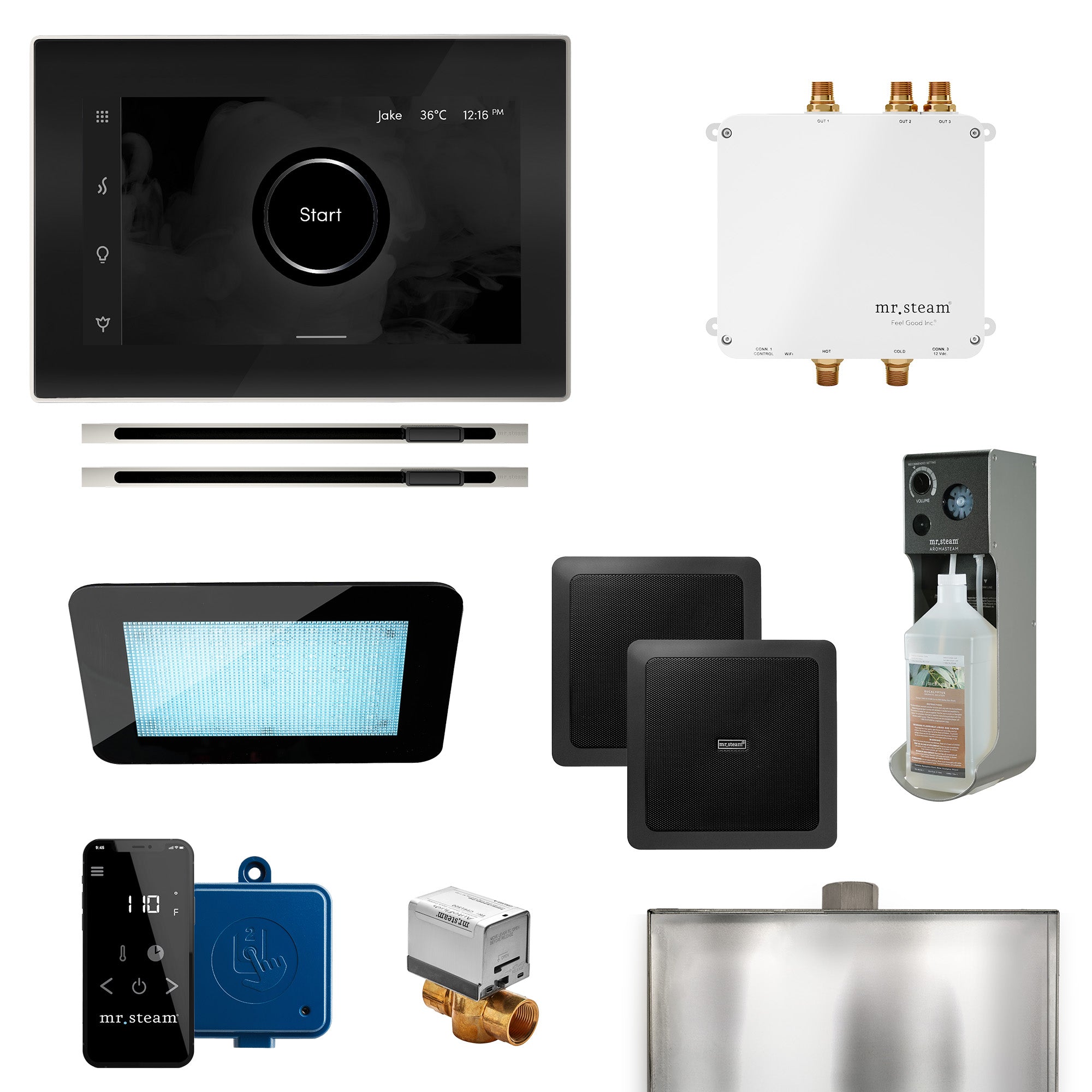 Mr Steam Bliss Max Linear Programmable Steam Generator Control Kit with iSteamX Control and Linear Steamhead