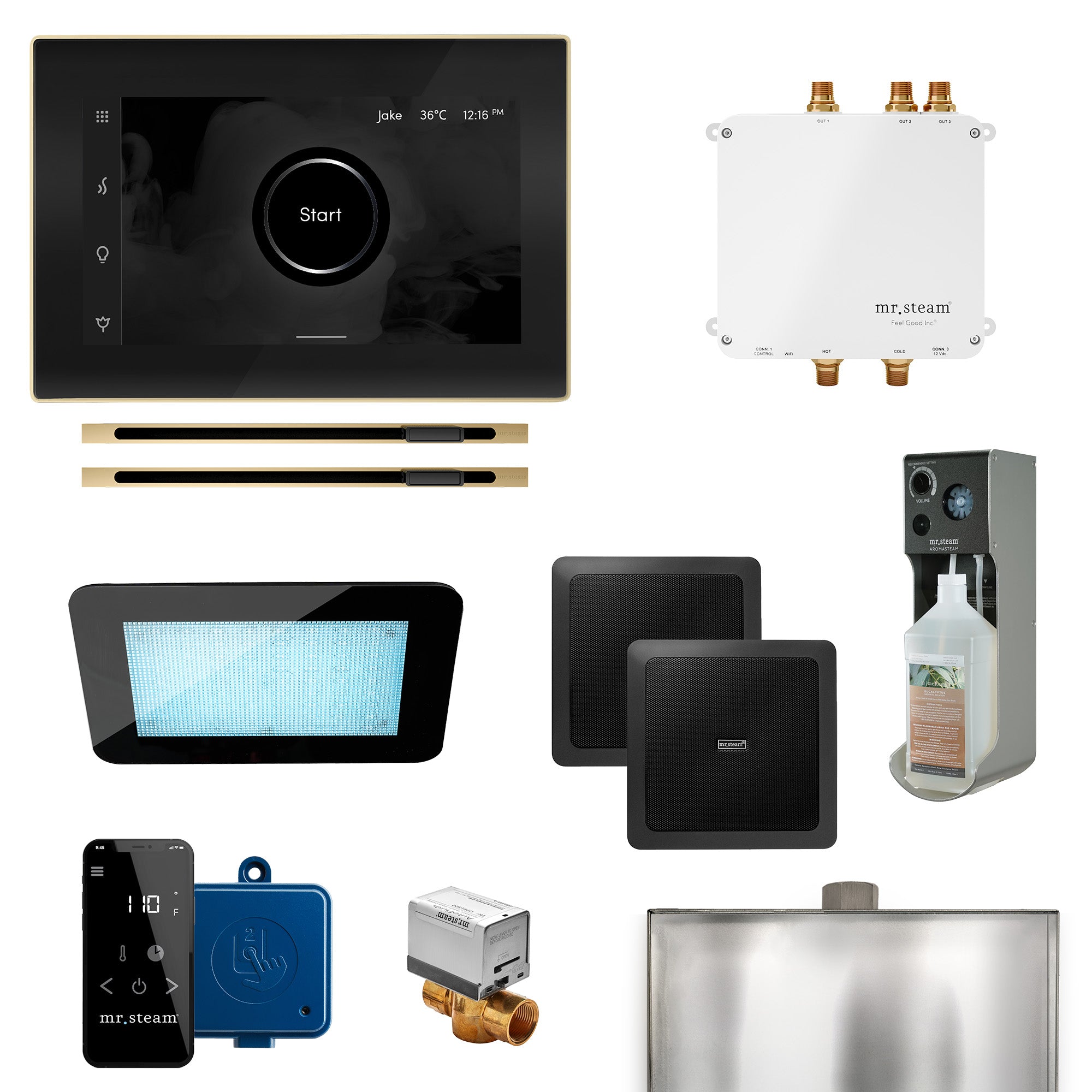 Mr Steam Bliss Max Linear Programmable Steam Generator Control Kit with iSteamX Control and Linear Steamhead