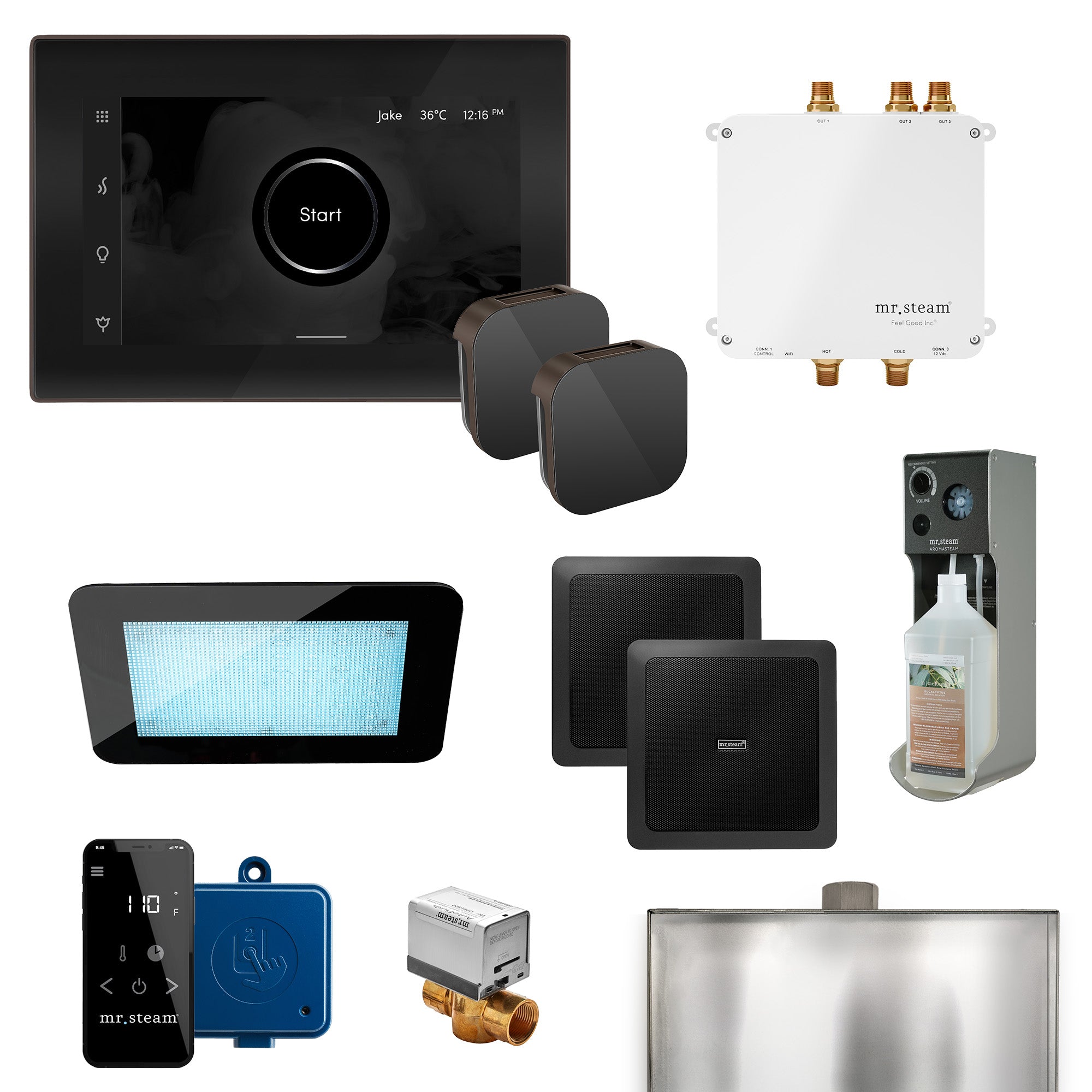 Mr Steam Bliss Max Programmable Steam Generator Control Kit with iSteamX Control and Aroma Glass Steamhead