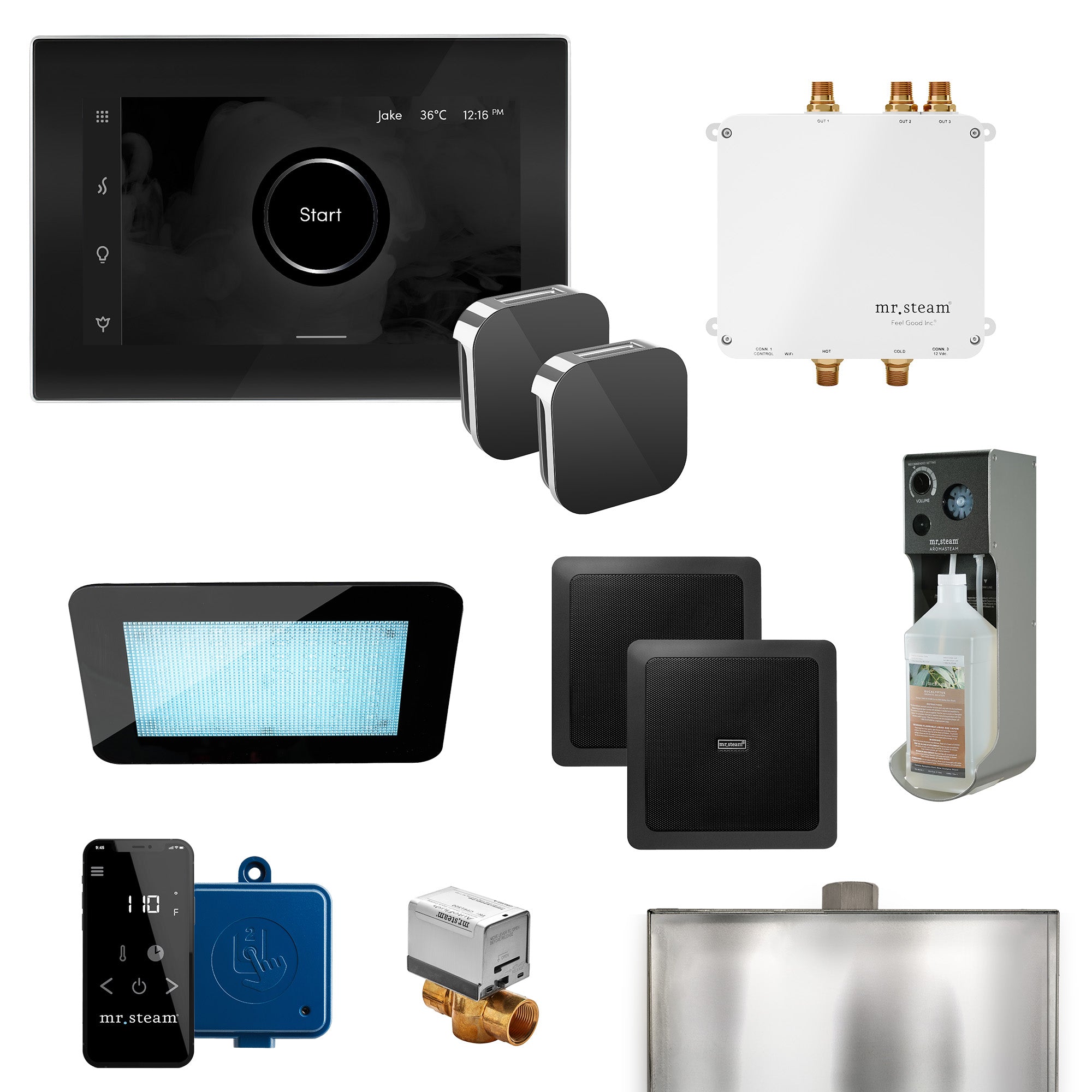 Mr Steam Bliss Max Programmable Steam Generator Control Kit with iSteamX Control and Aroma Glass Steamhead