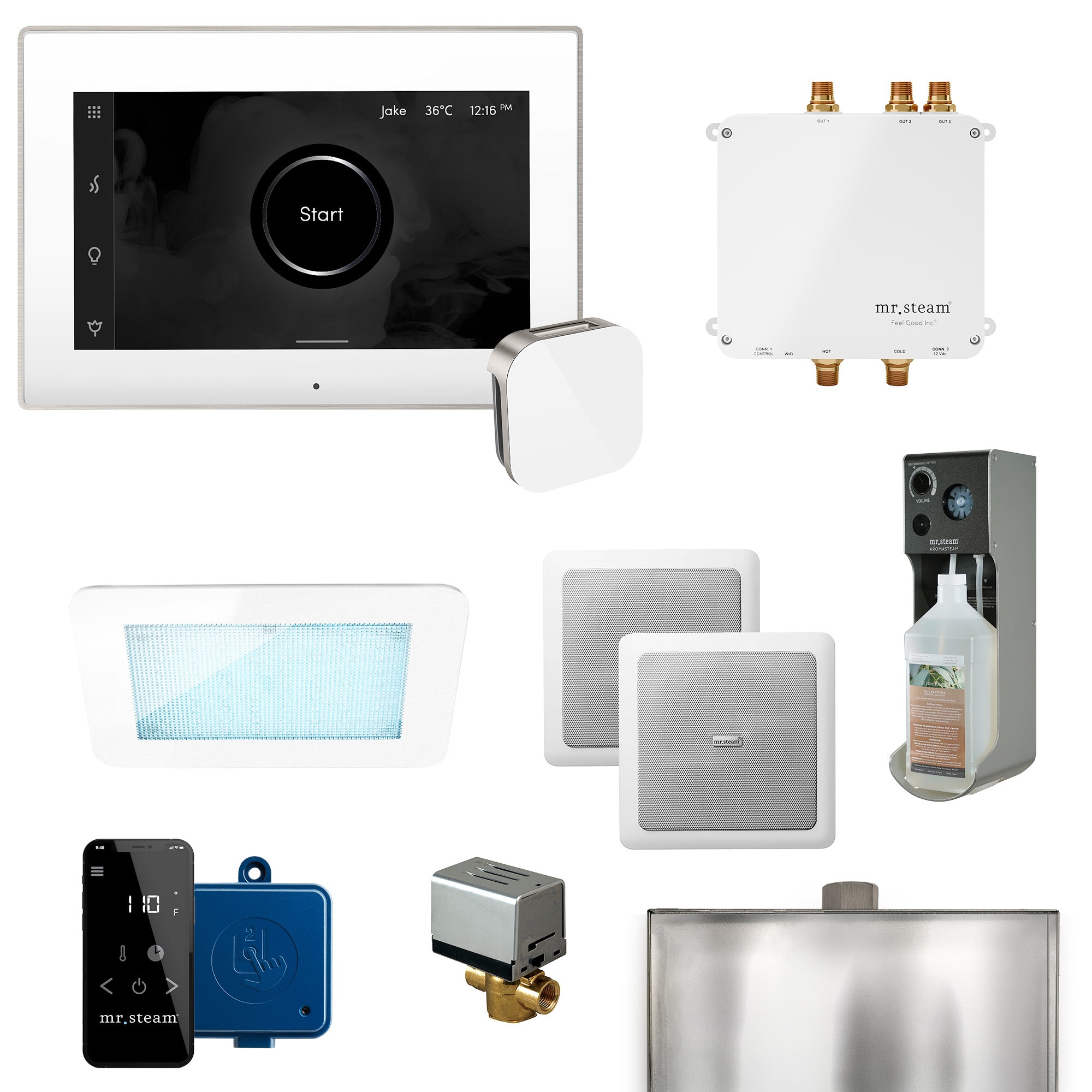 Mr Steam Bliss Programmable Steam Generator Control Kit with iSteamX Control and Aroma Glass Steamhead