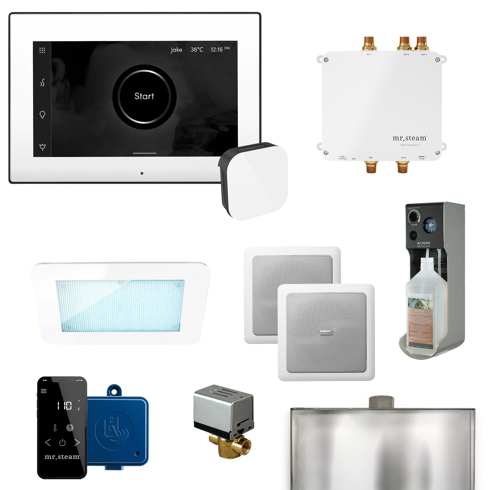 Mr Steam Bliss Programmable Steam Generator Control Kit with iSteamX Control and Aroma Glass Steamhead