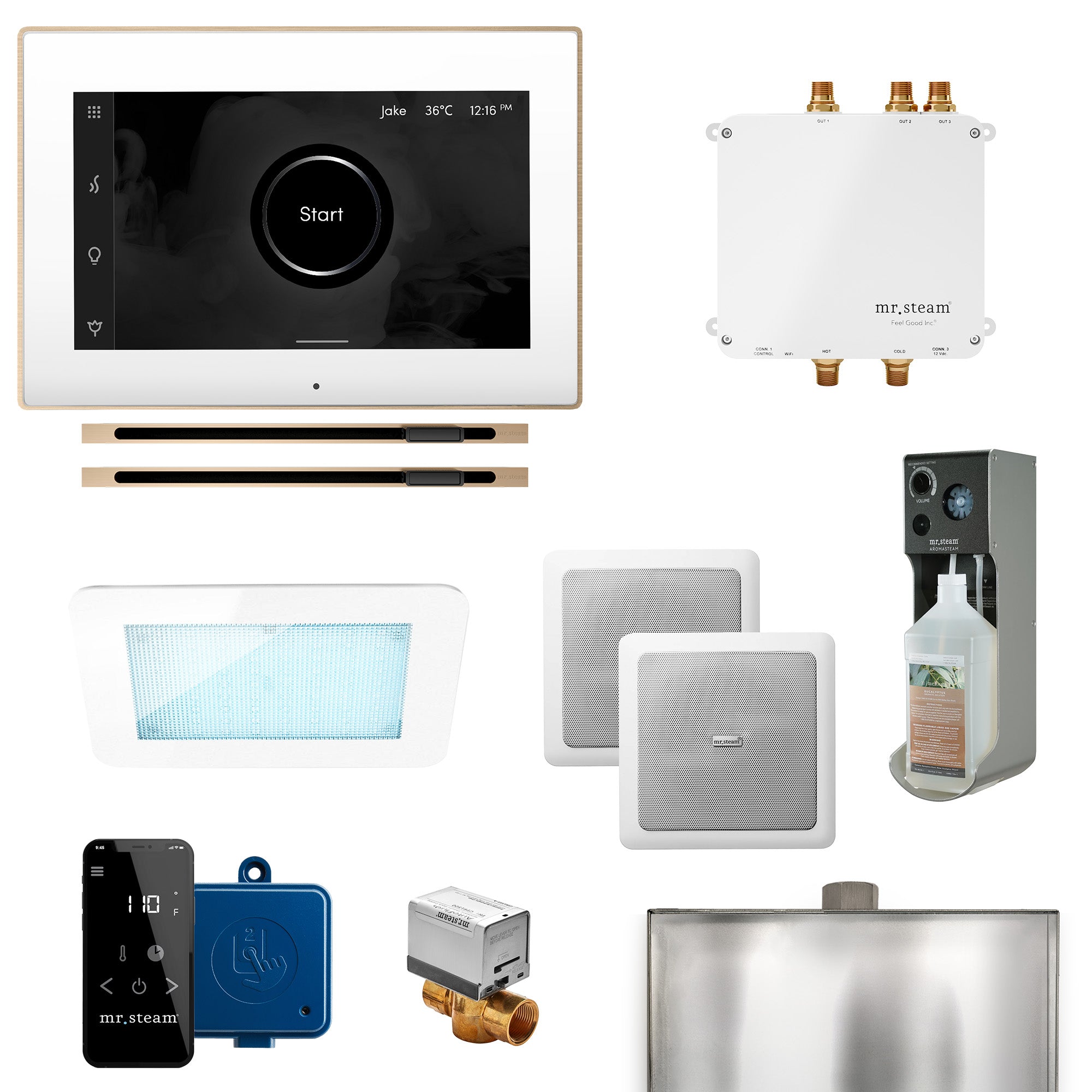 Mr Steam Bliss Max Linear Programmable Steam Generator Control Kit with iSteamX Control and Linear Steamhead