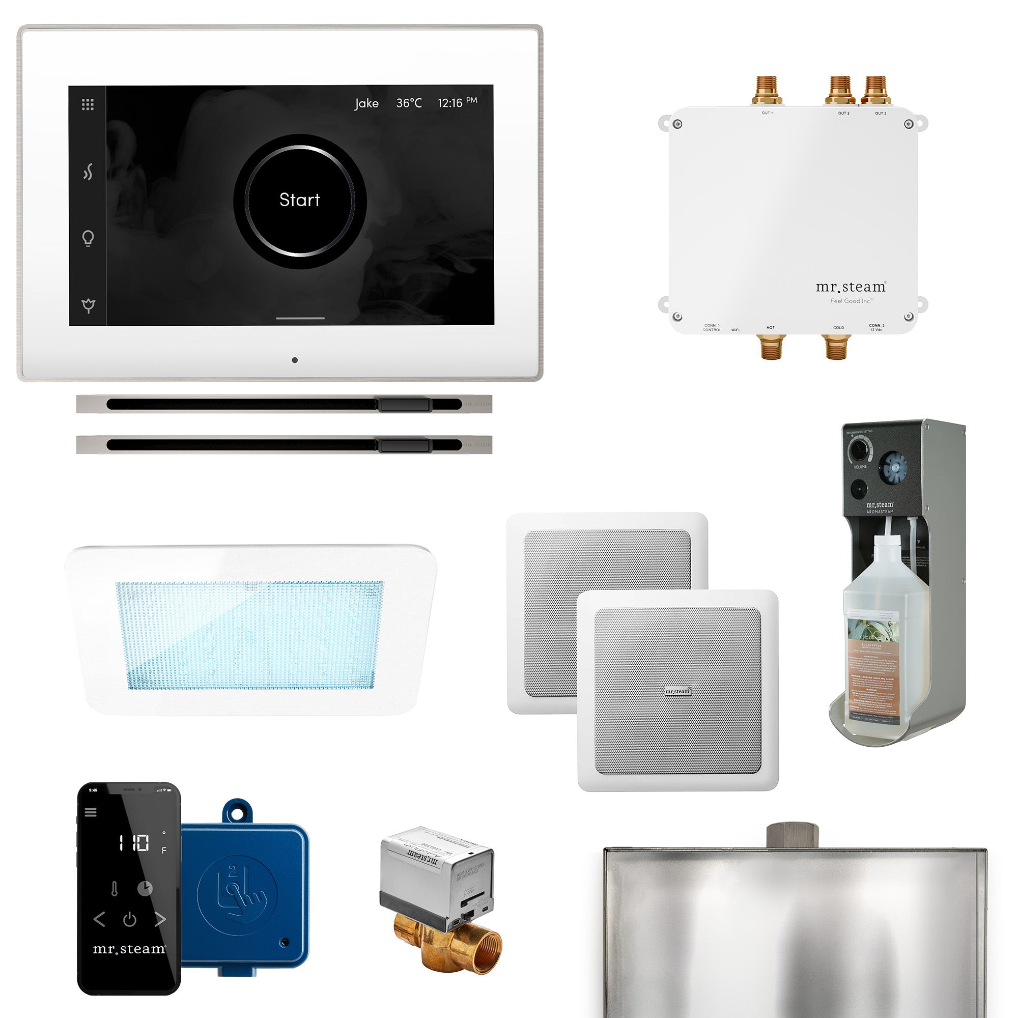 Mr Steam Bliss Max Linear Programmable Steam Generator Control Kit with iSteamX Control and Linear Steamhead