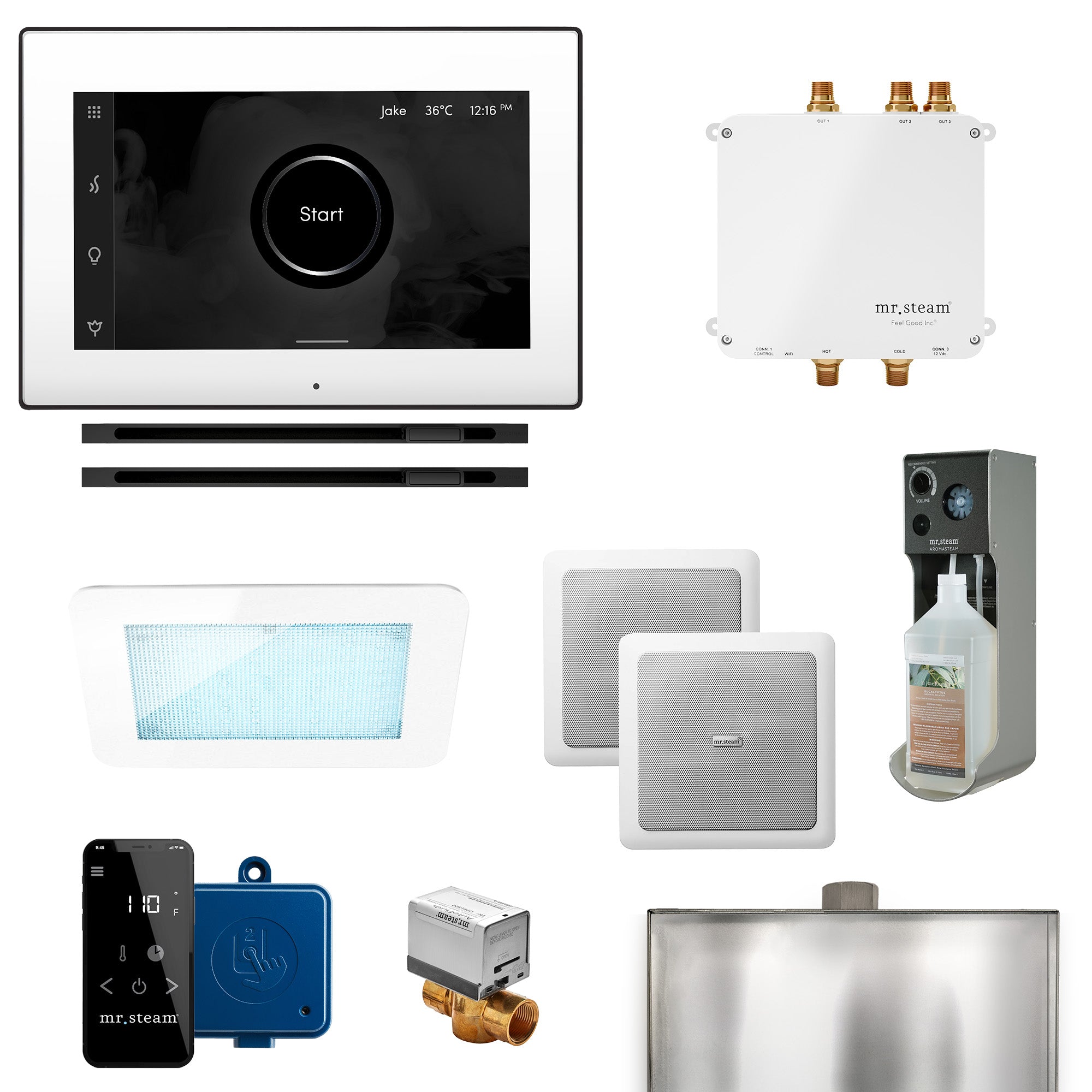 Mr Steam Bliss Max Linear Programmable Steam Generator Control Kit with iSteamX Control and Linear Steamhead