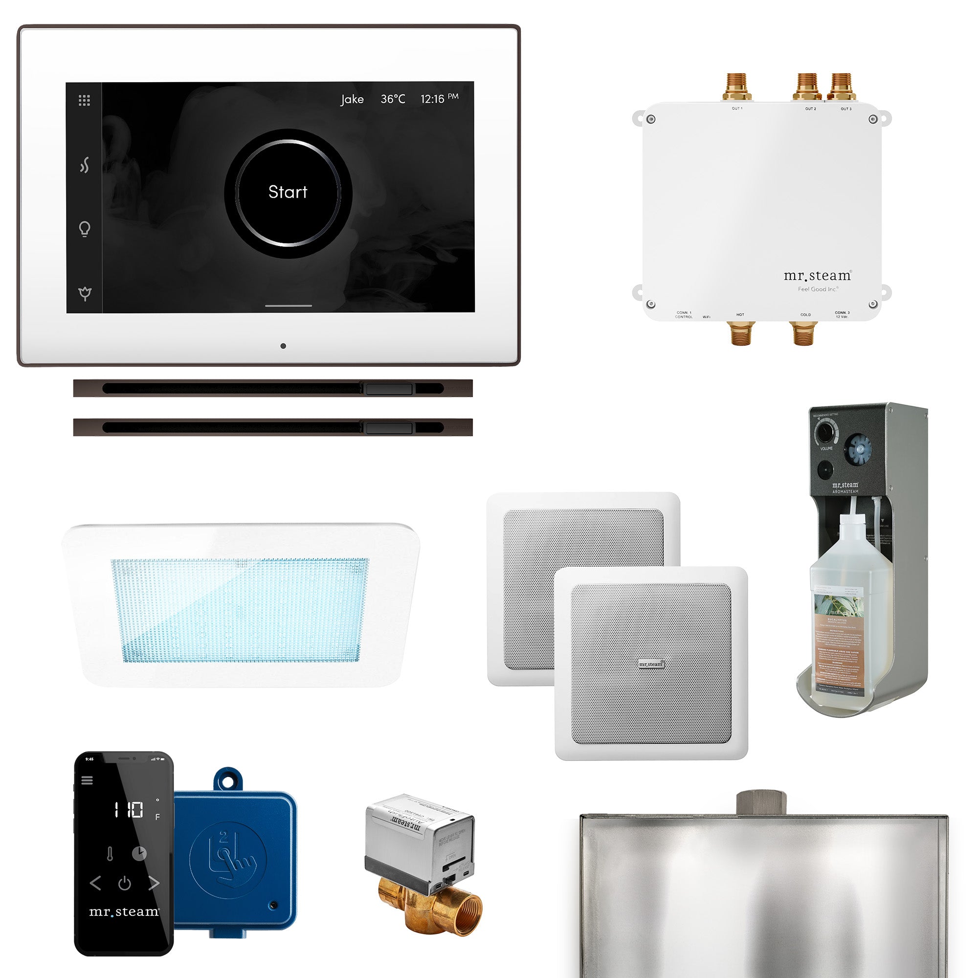 Mr Steam Bliss Max Linear Programmable Steam Generator Control Kit with iSteamX Control and Linear Steamhead