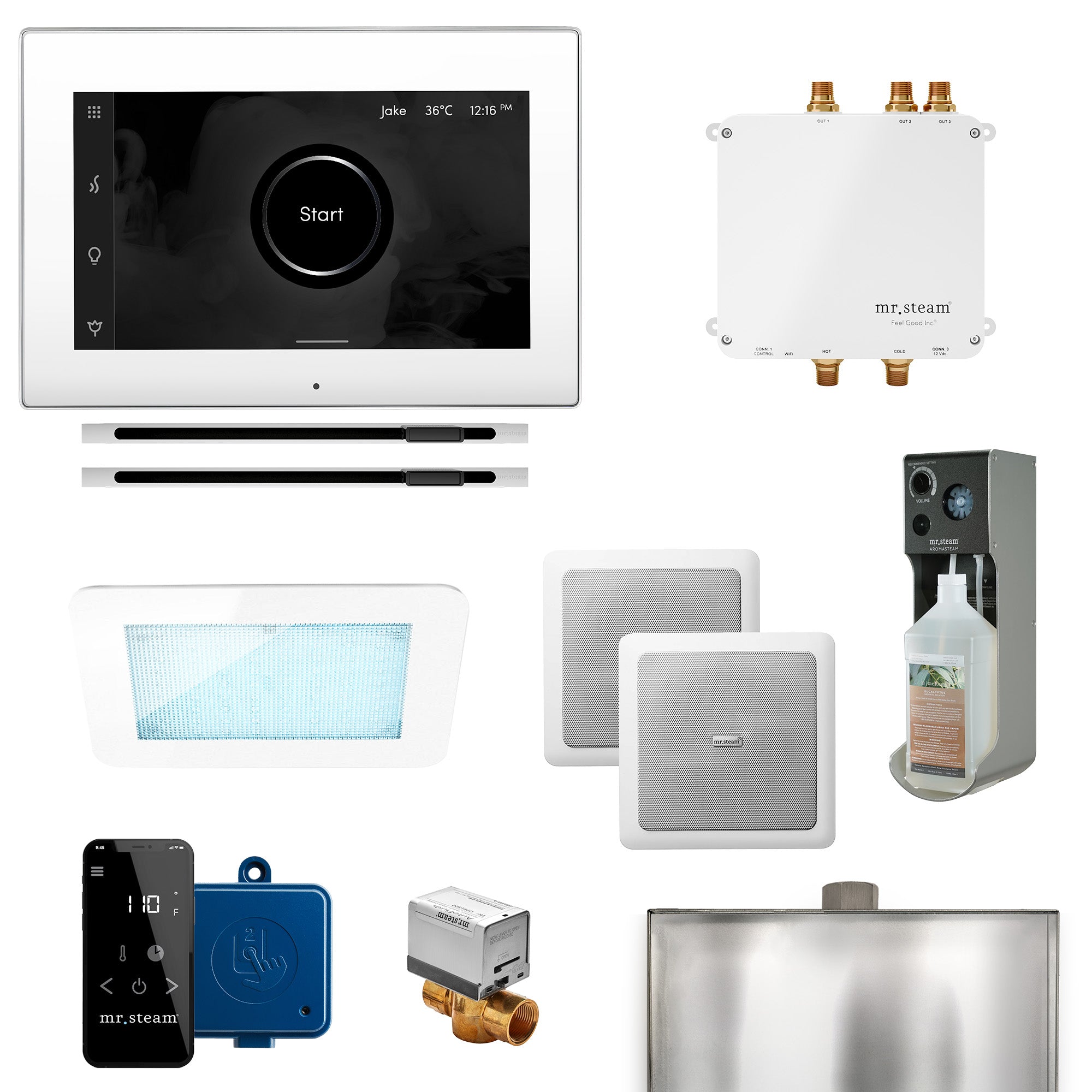 Mr Steam Bliss Max Linear Programmable Steam Generator Control Kit with iSteamX Control and Linear Steamhead
