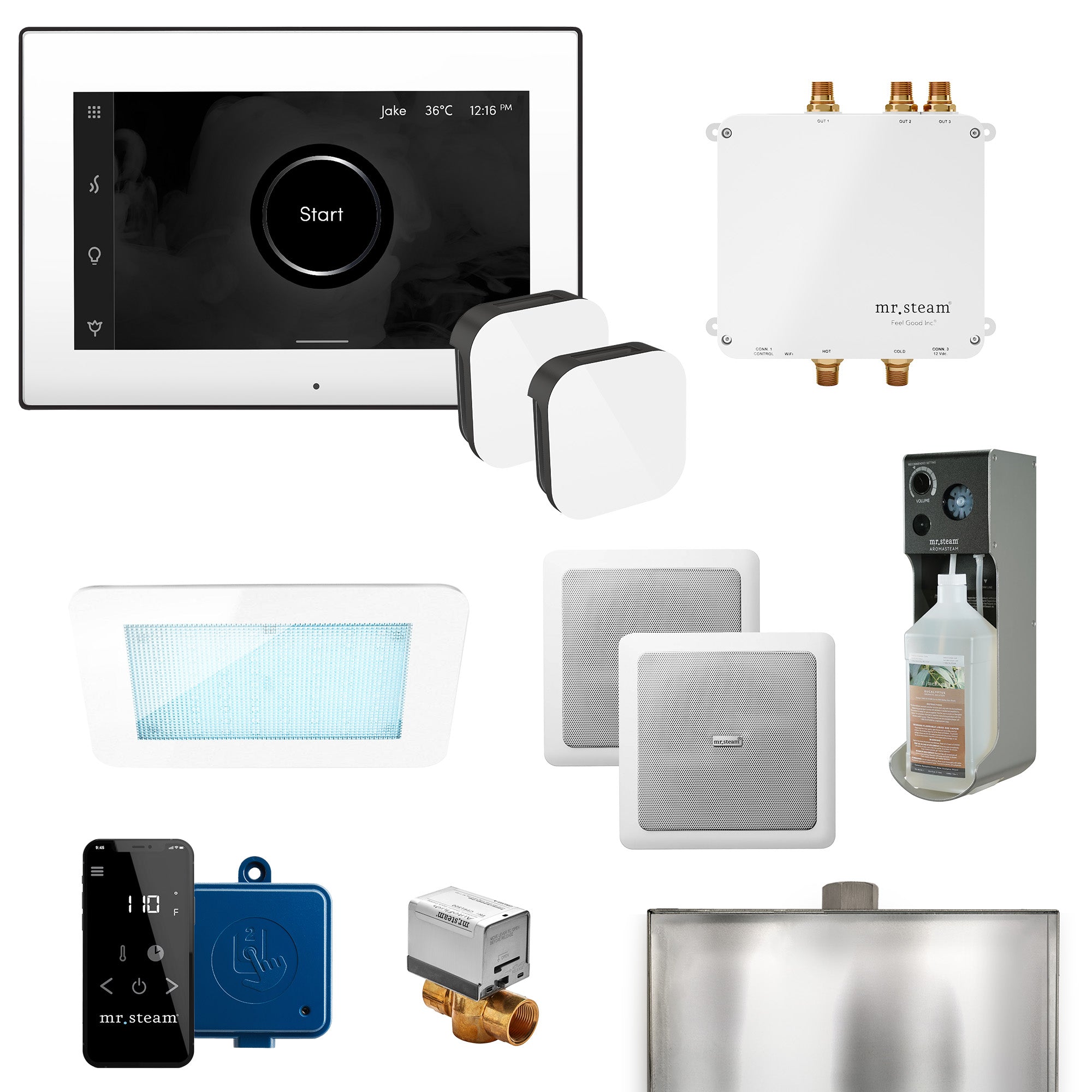 Mr Steam Bliss Max Programmable Steam Generator Control Kit with iSteamX Control and Aroma Glass Steamhead