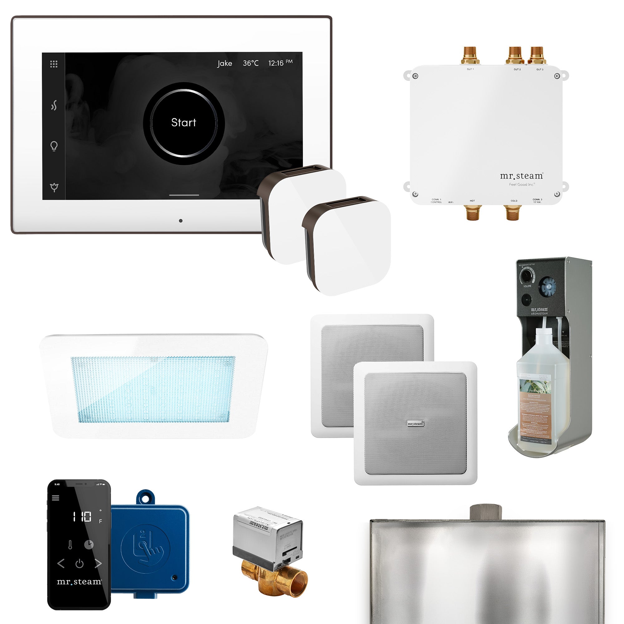 Mr Steam Bliss Max Programmable Steam Generator Control Kit with iSteamX Control and Aroma Glass Steamhead