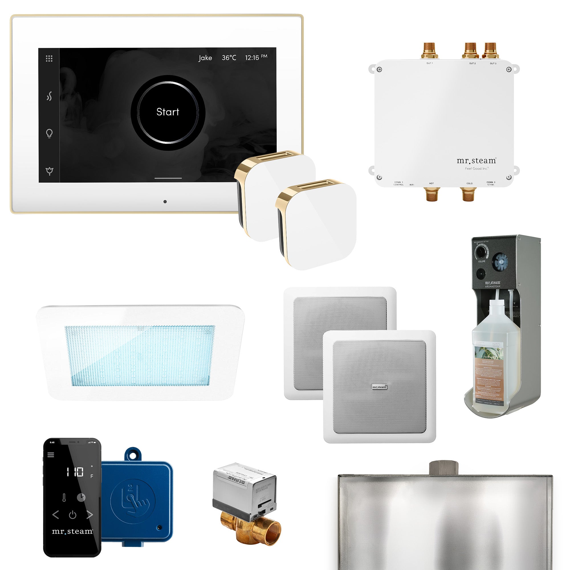 Mr Steam Bliss Max Programmable Steam Generator Control Kit with iSteamX Control and Aroma Glass Steamhead