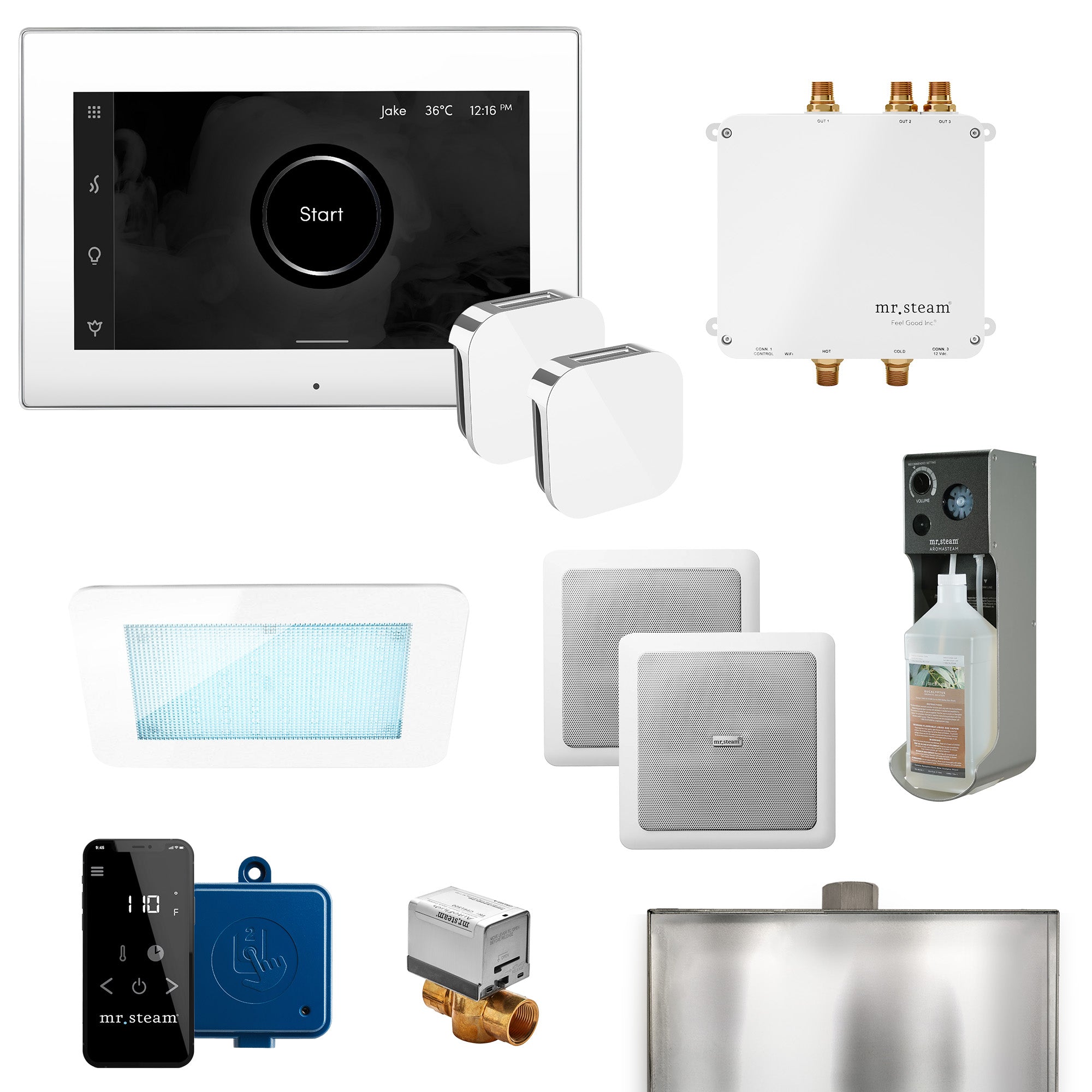 Mr Steam Bliss Max Programmable Steam Generator Control Kit with iSteamX Control and Aroma Glass Steamhead