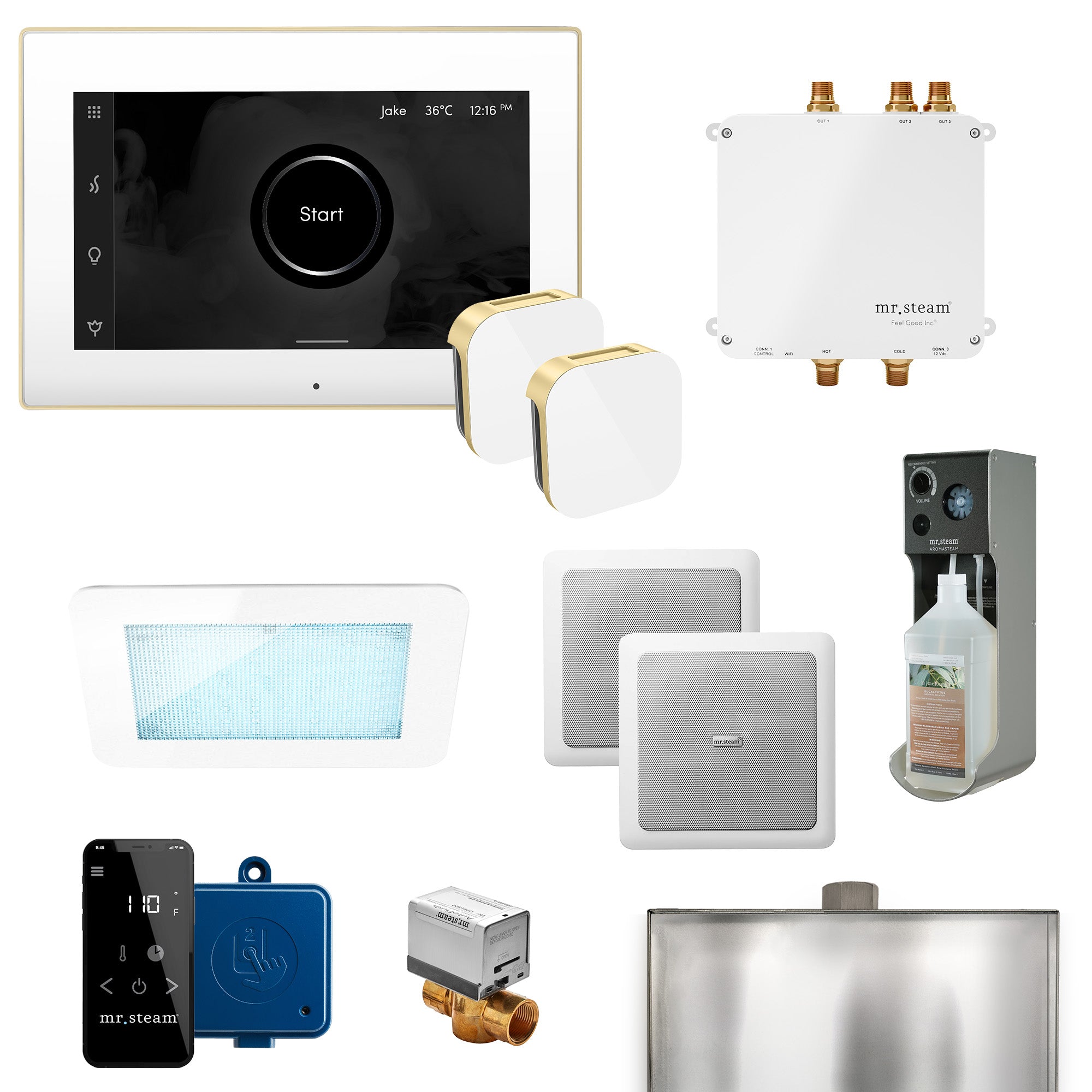 Mr Steam Bliss Max Programmable Steam Generator Control Kit with iSteamX Control and Aroma Glass Steamhead