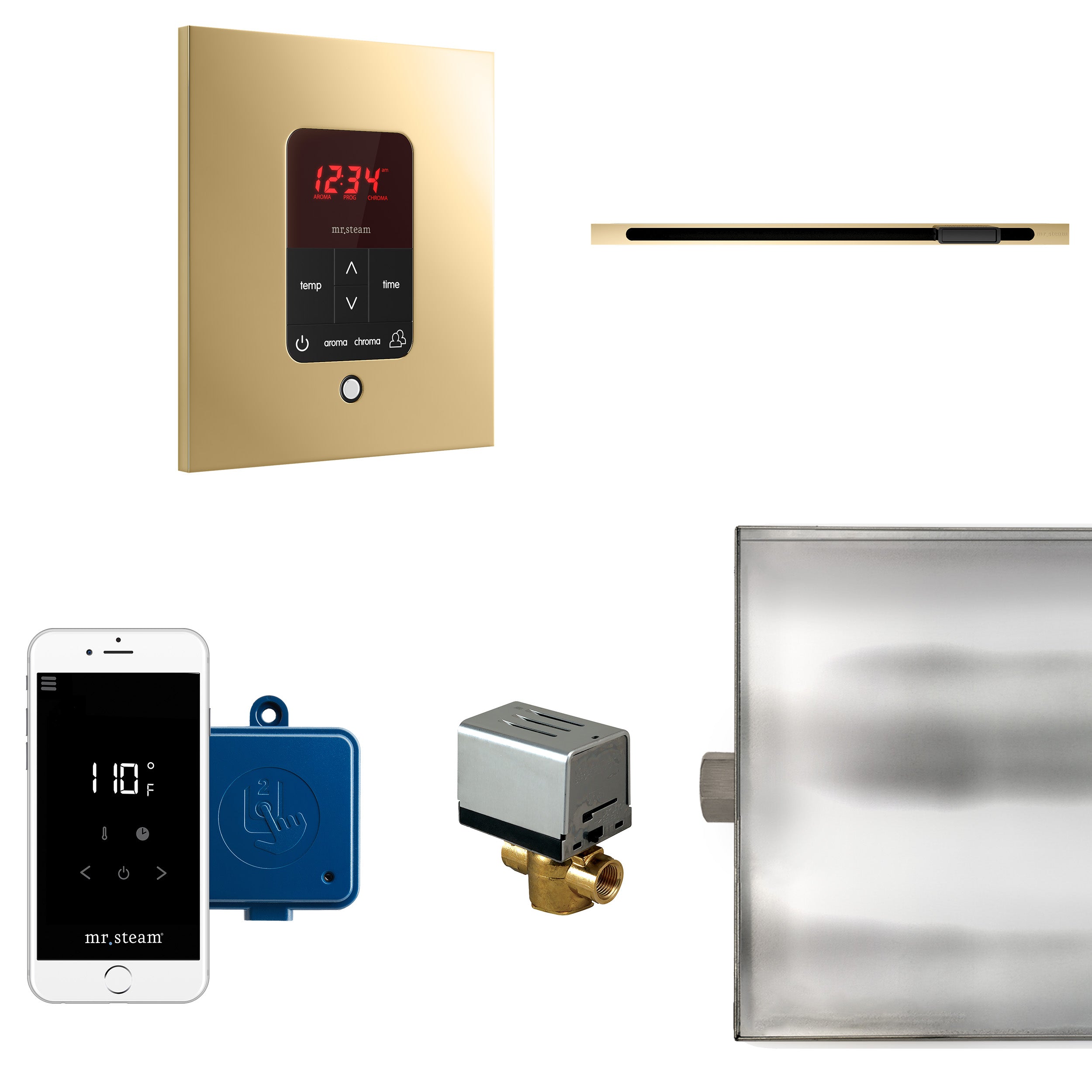 Mr Steam Butler Linear Steam Shower Control Package with iTempoPlus Control and Linear SteamHead