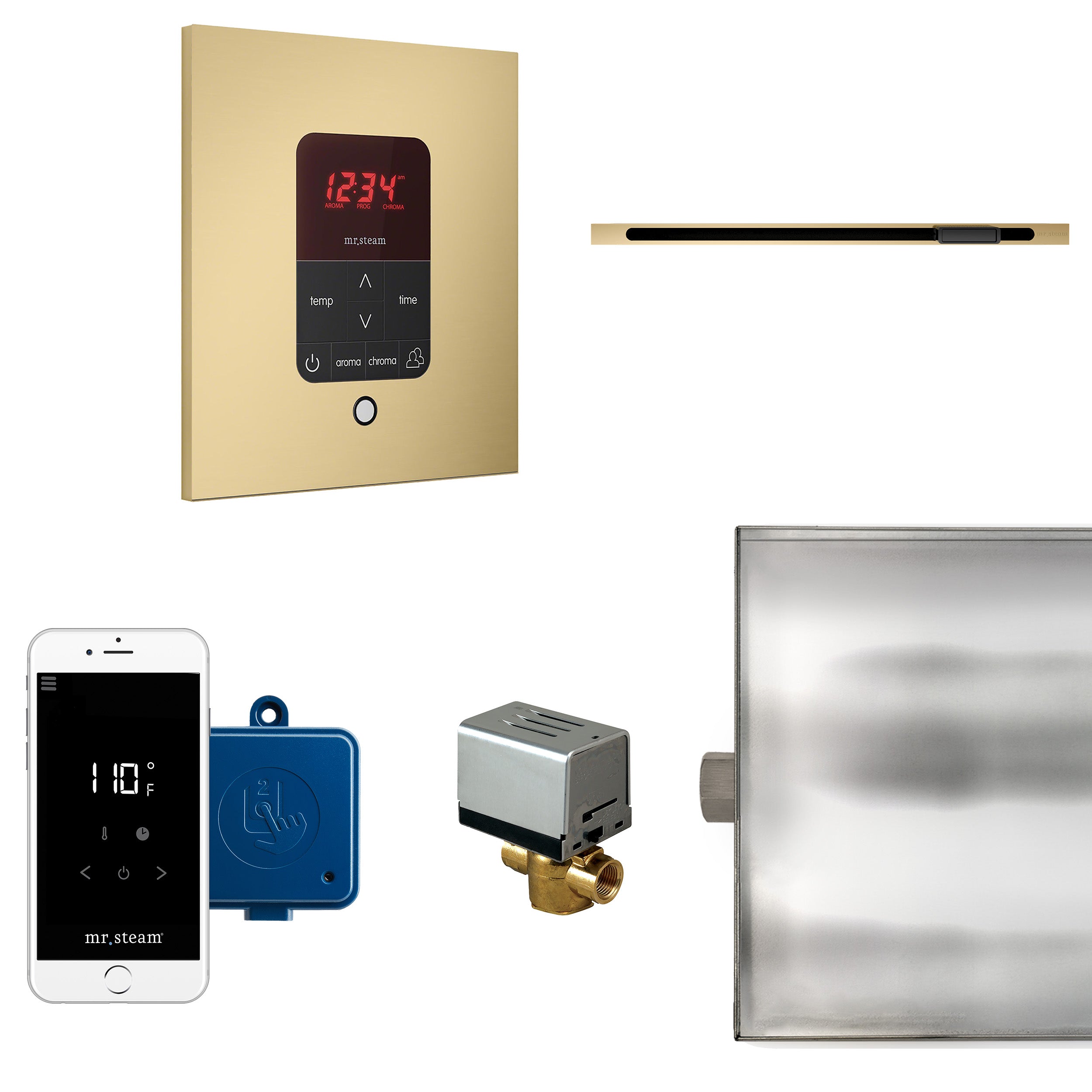 Mr Steam Butler Linear Steam Shower Control Package with iTempoPlus Control and Linear SteamHead