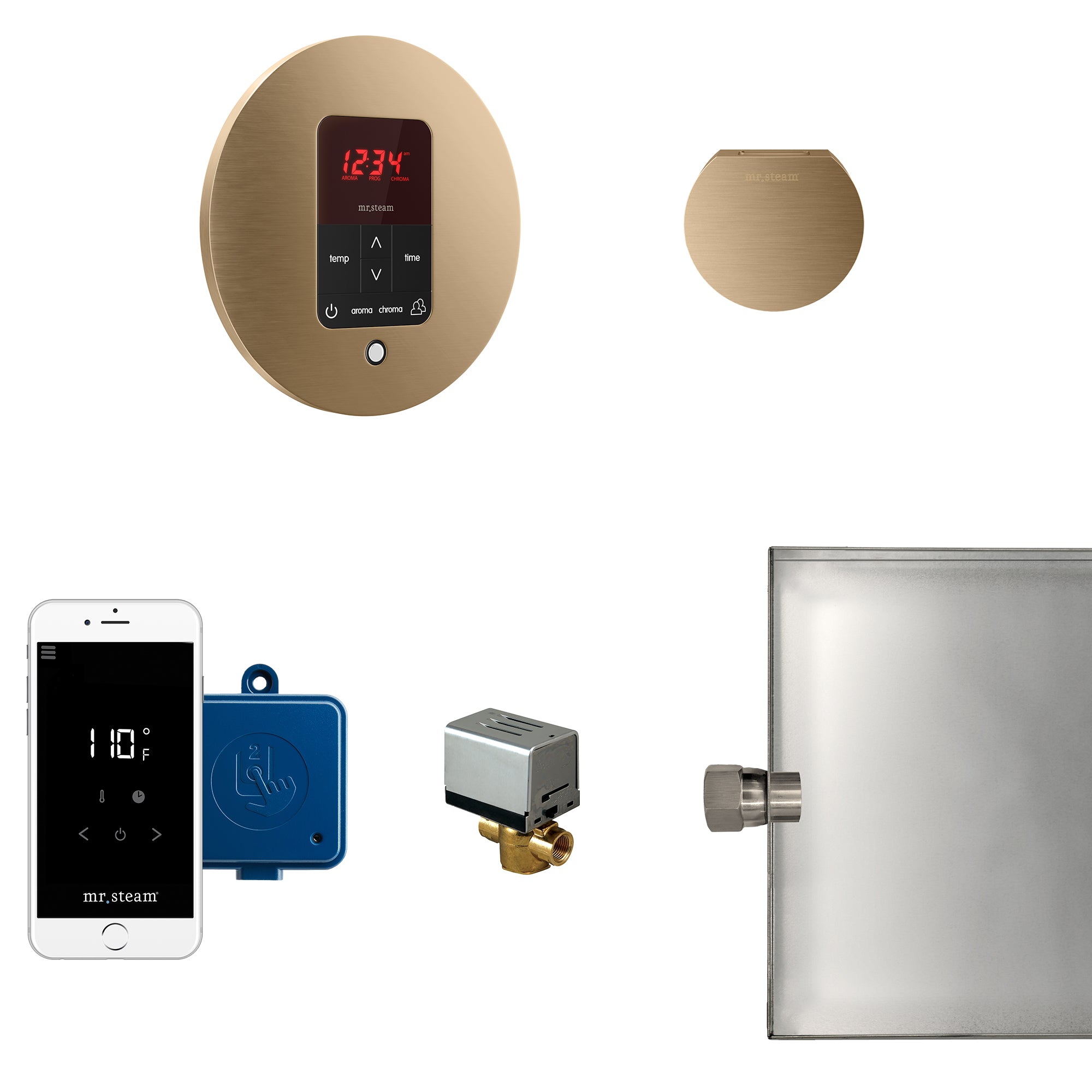 Mr Steam Butler Steam Shower Control Package with iTempoPlus Control and Aroma Designer SteamHead