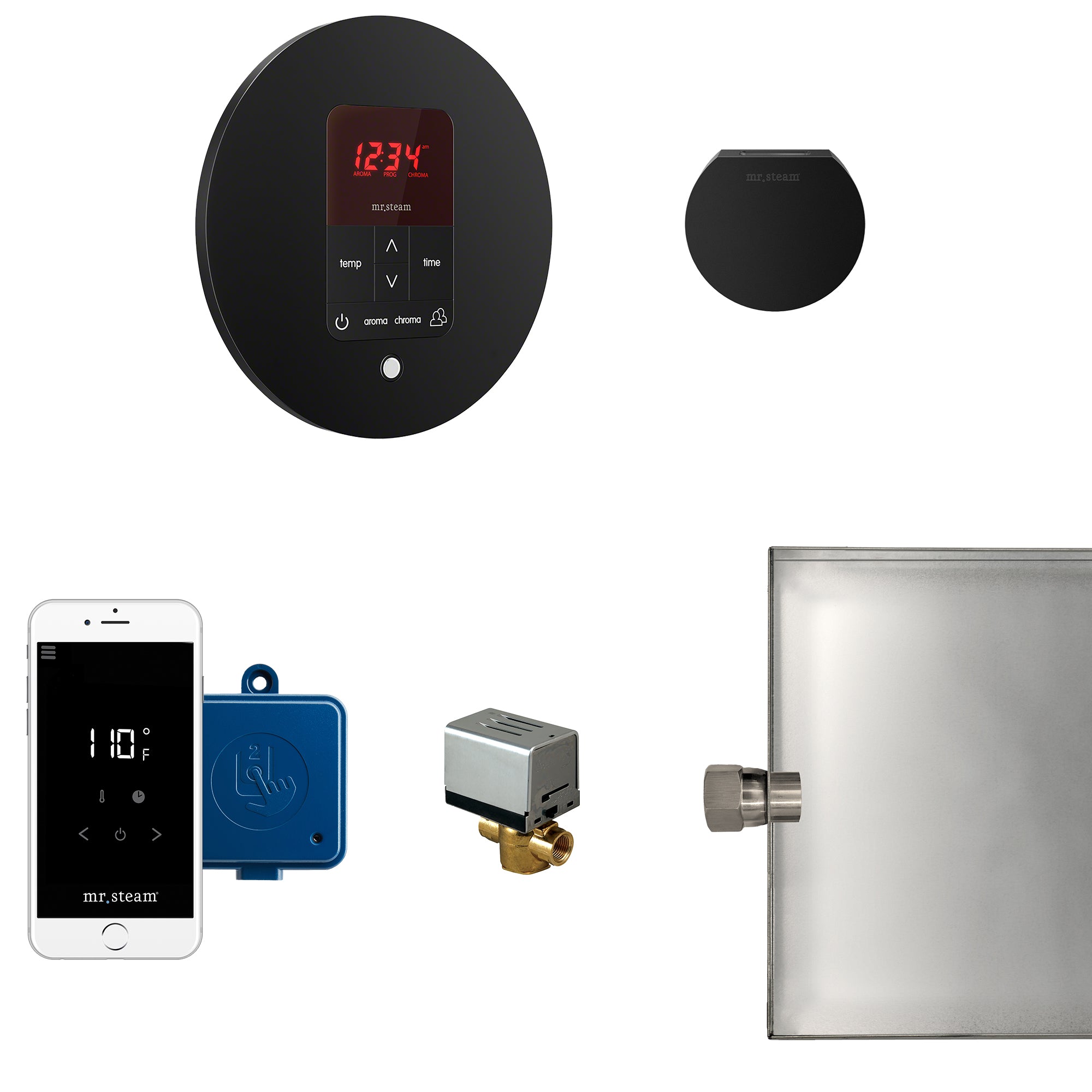 Mr Steam Butler Steam Shower Control Package with iTempoPlus Control and Aroma Designer SteamHead