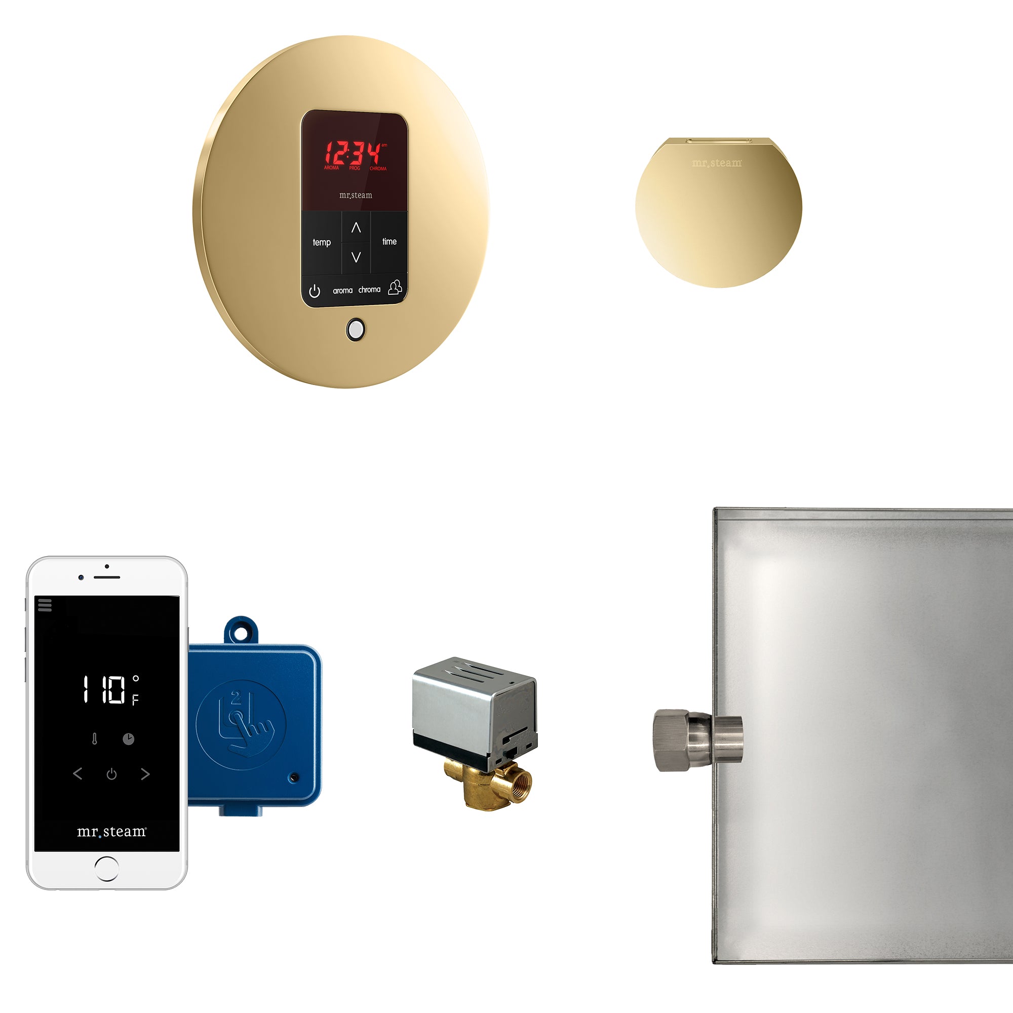 Mr Steam Butler Steam Shower Control Package with iTempoPlus Control and Aroma Designer SteamHead