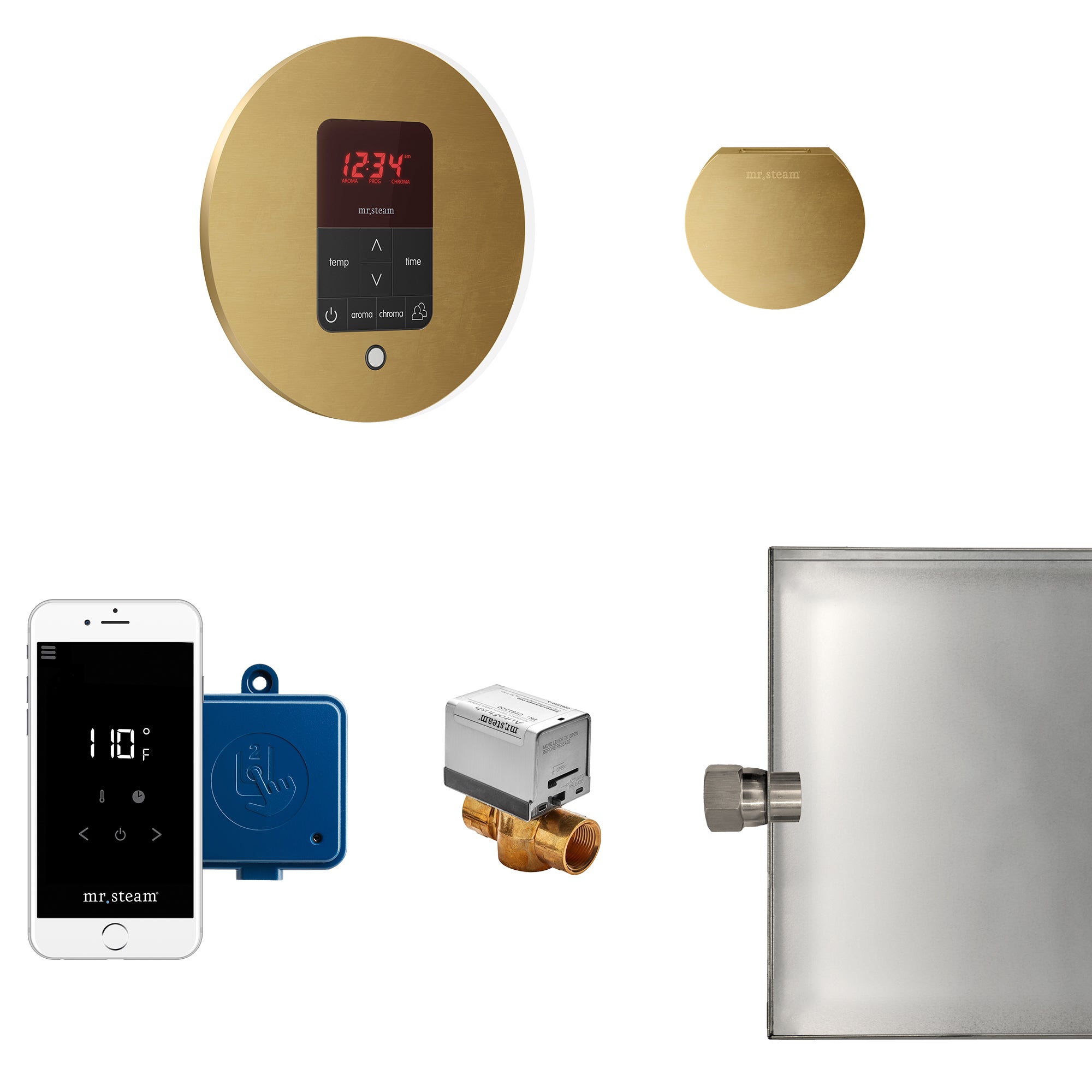 Mr Steam Butler Steam Shower Control Package with iTempoPlus Control and Aroma Designer SteamHead