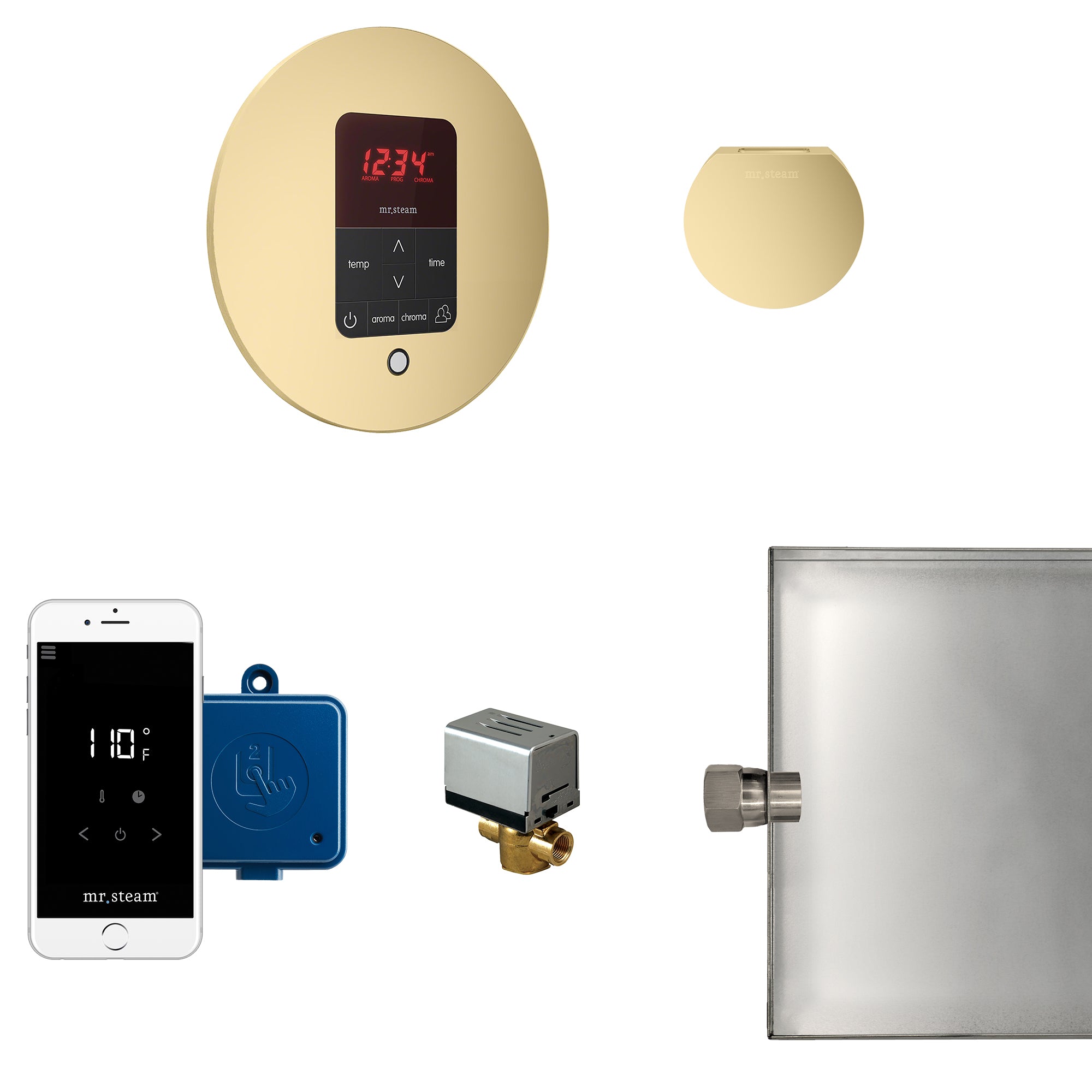 Mr Steam Butler Steam Shower Control Package with iTempoPlus Control and Aroma Designer SteamHead