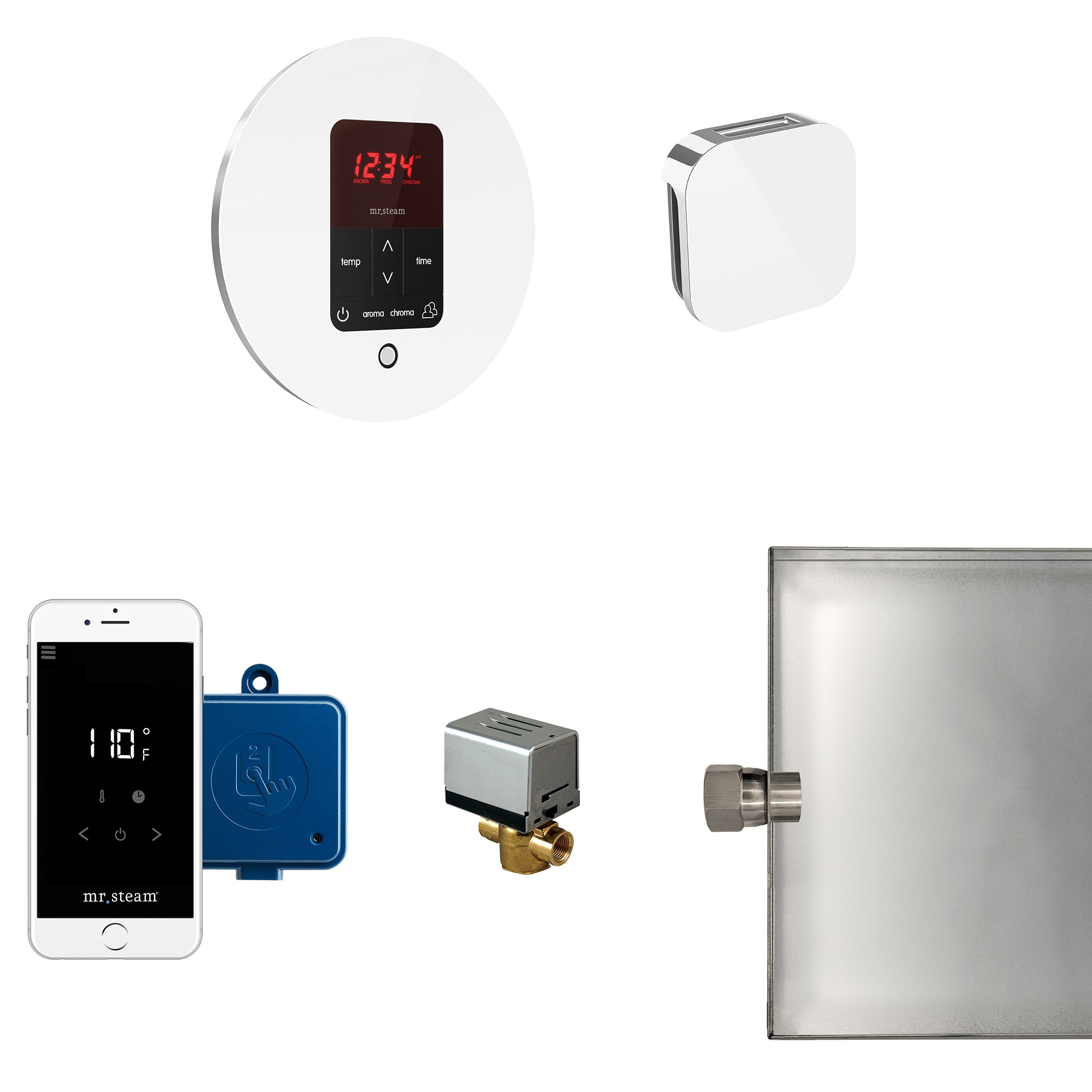 Mr Steam Butler Steam Shower Control Package with iTempoPlus Control and Aroma Designer SteamHead