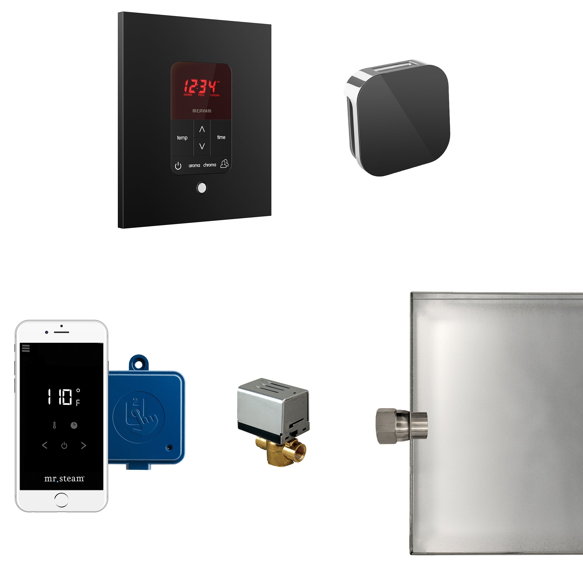 Mr Steam Butler Steam Shower Control Package with iTempoPlus Control and Aroma Designer SteamHead