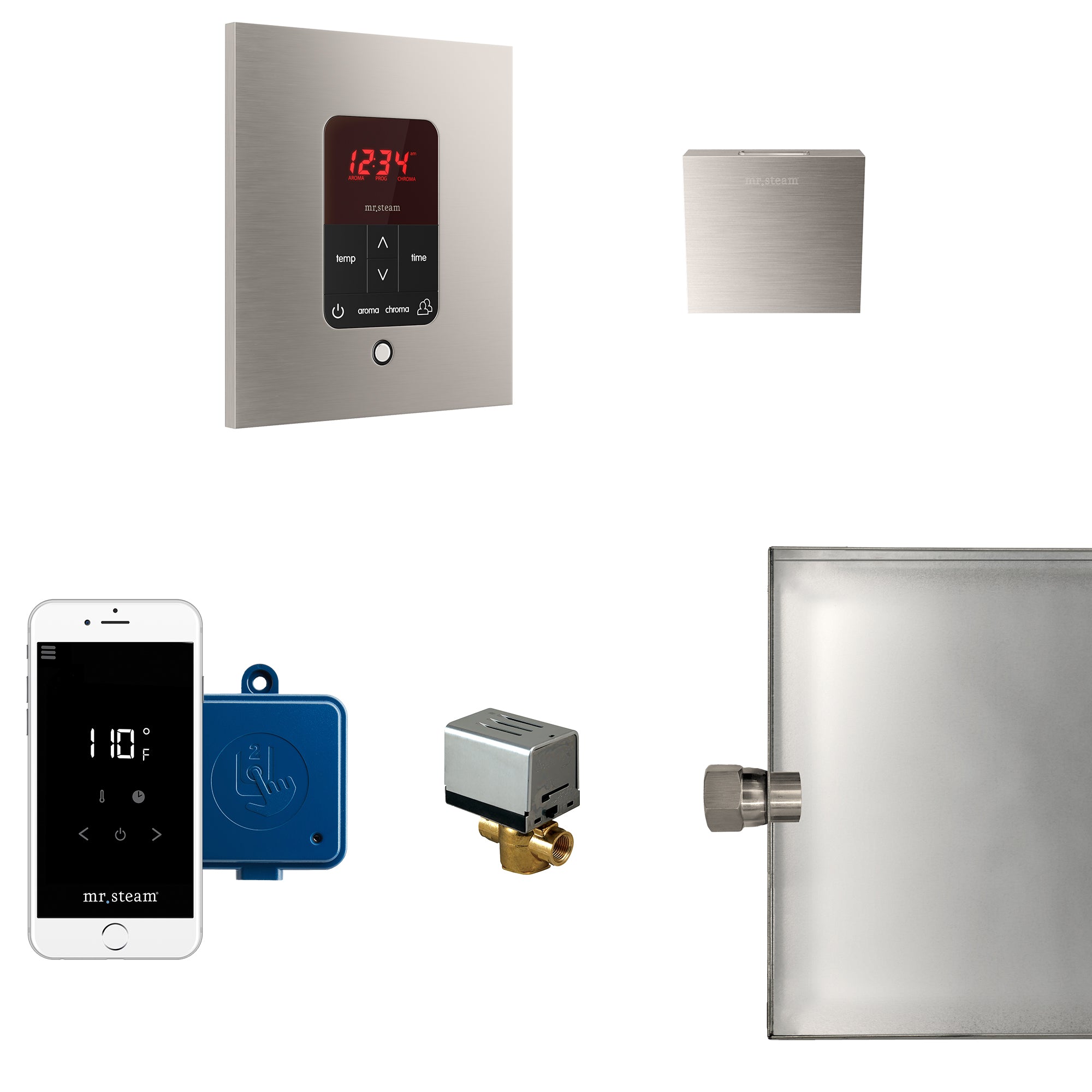 Mr Steam Butler Steam Shower Control Package with iTempoPlus Control and Aroma Designer SteamHead