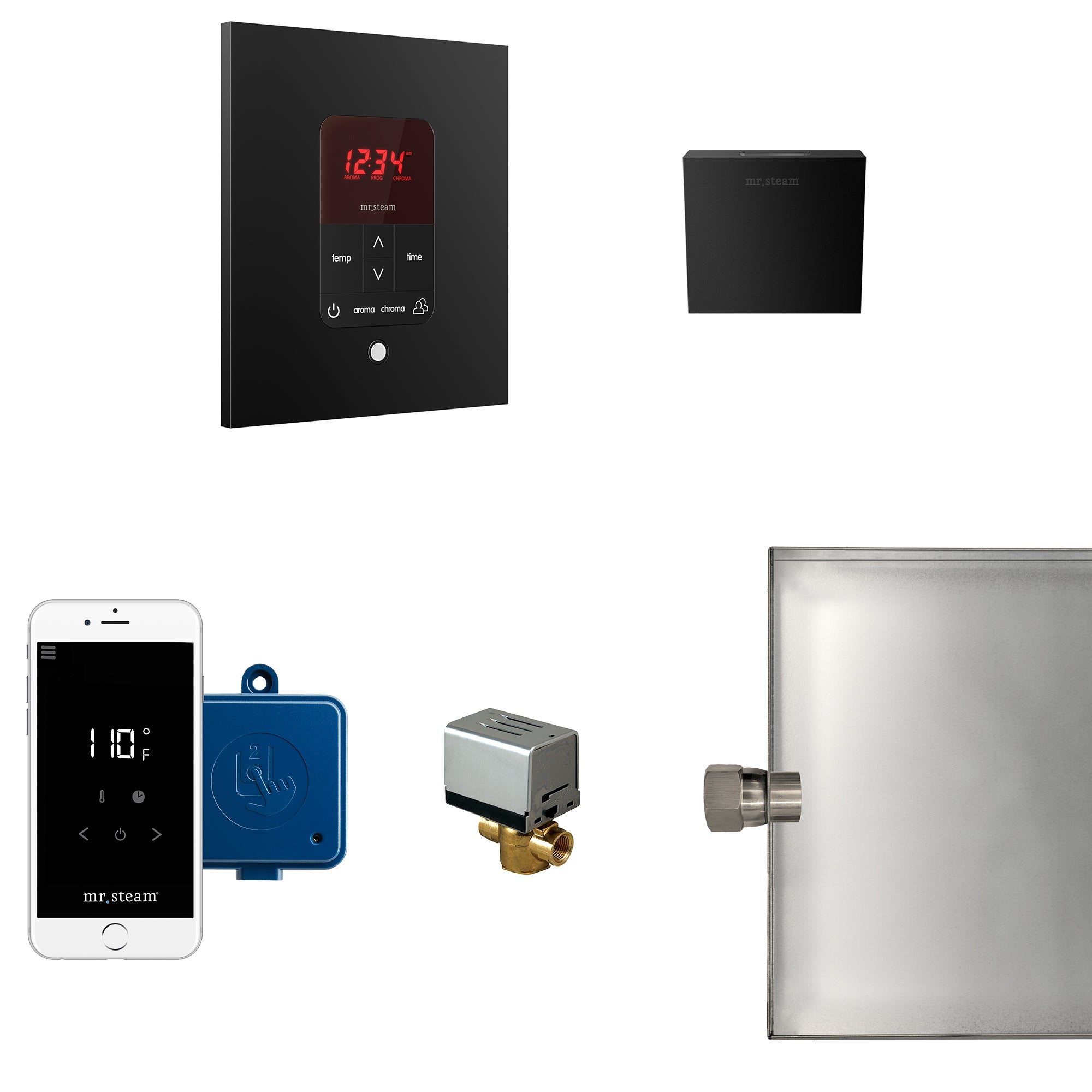 Mr Steam Butler Steam Shower Control Package with iTempoPlus Control and Aroma Designer SteamHead