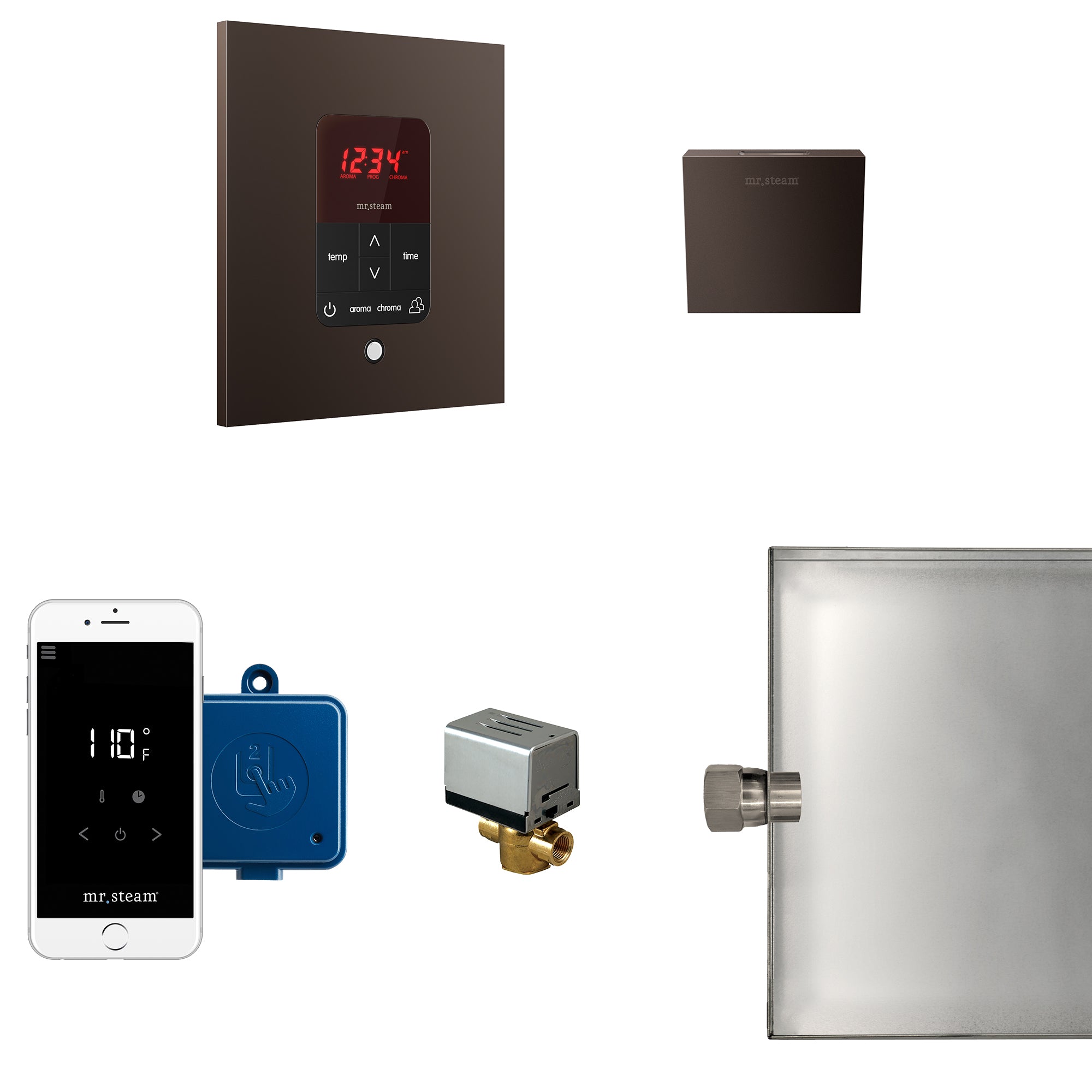 Mr Steam Butler Steam Shower Control Package with iTempoPlus Control and Aroma Designer SteamHead