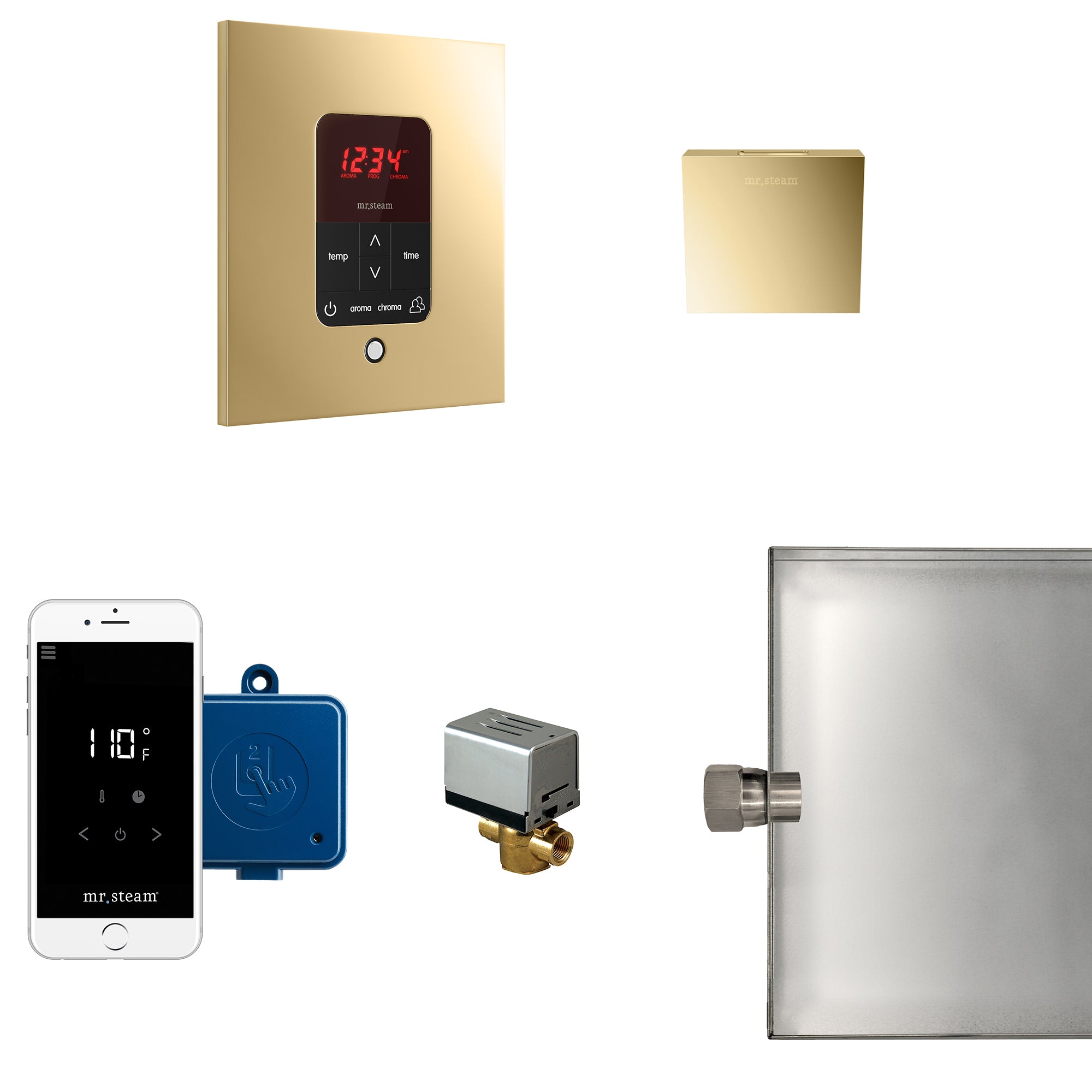 Mr Steam Butler Steam Shower Control Package with iTempoPlus Control and Aroma Designer SteamHead