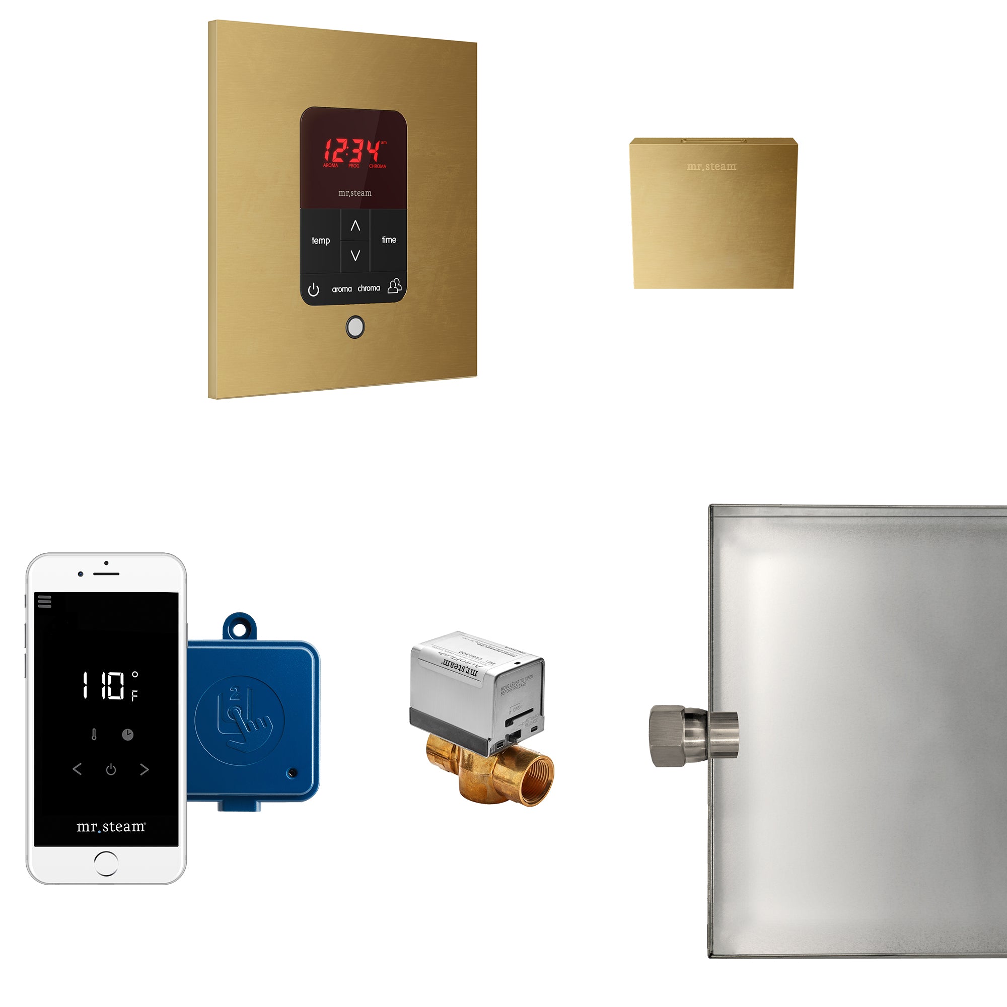 Mr Steam Butler Steam Shower Control Package with iTempoPlus Control and Aroma Designer SteamHead