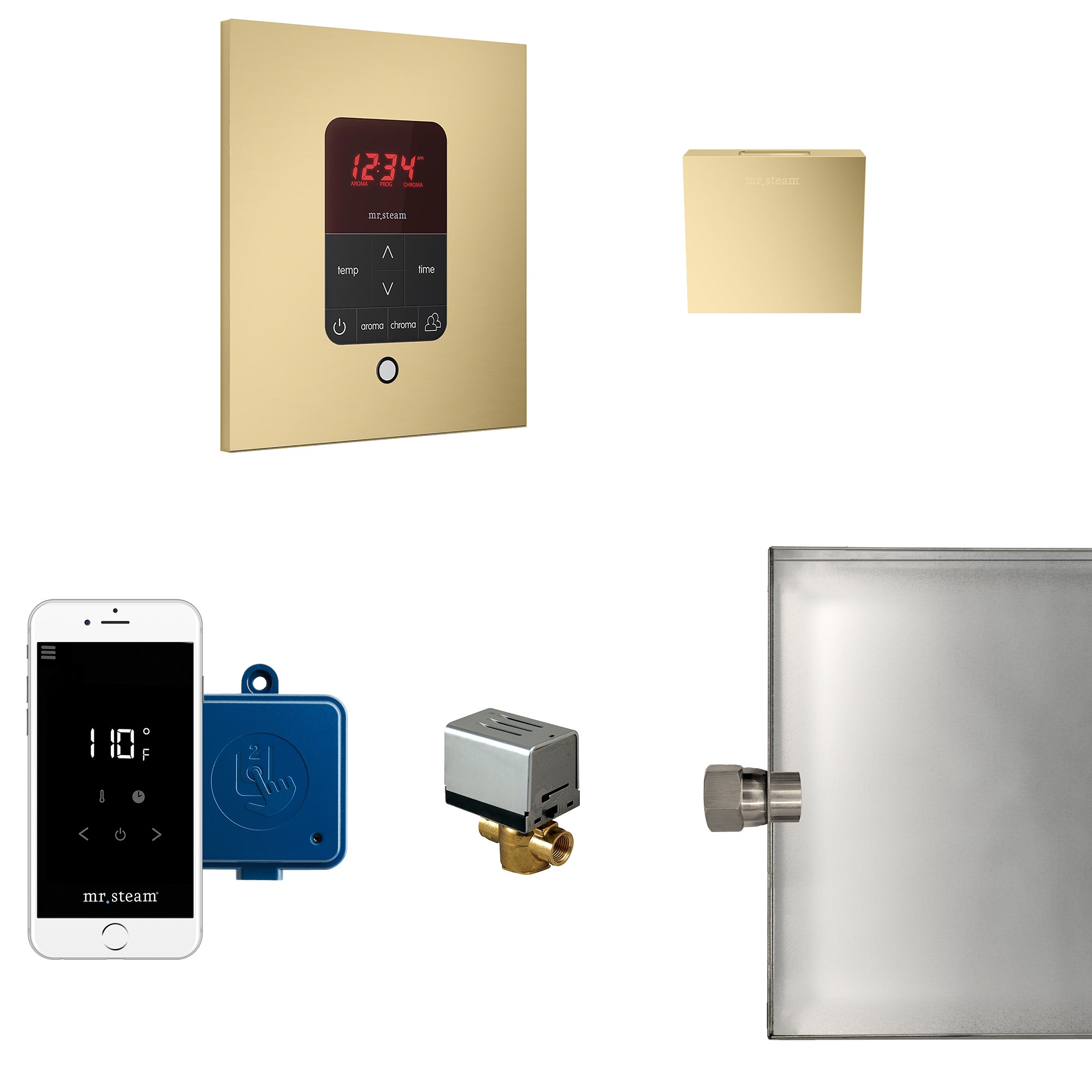Mr Steam Butler Steam Shower Control Package with iTempoPlus Control and Aroma Designer SteamHead