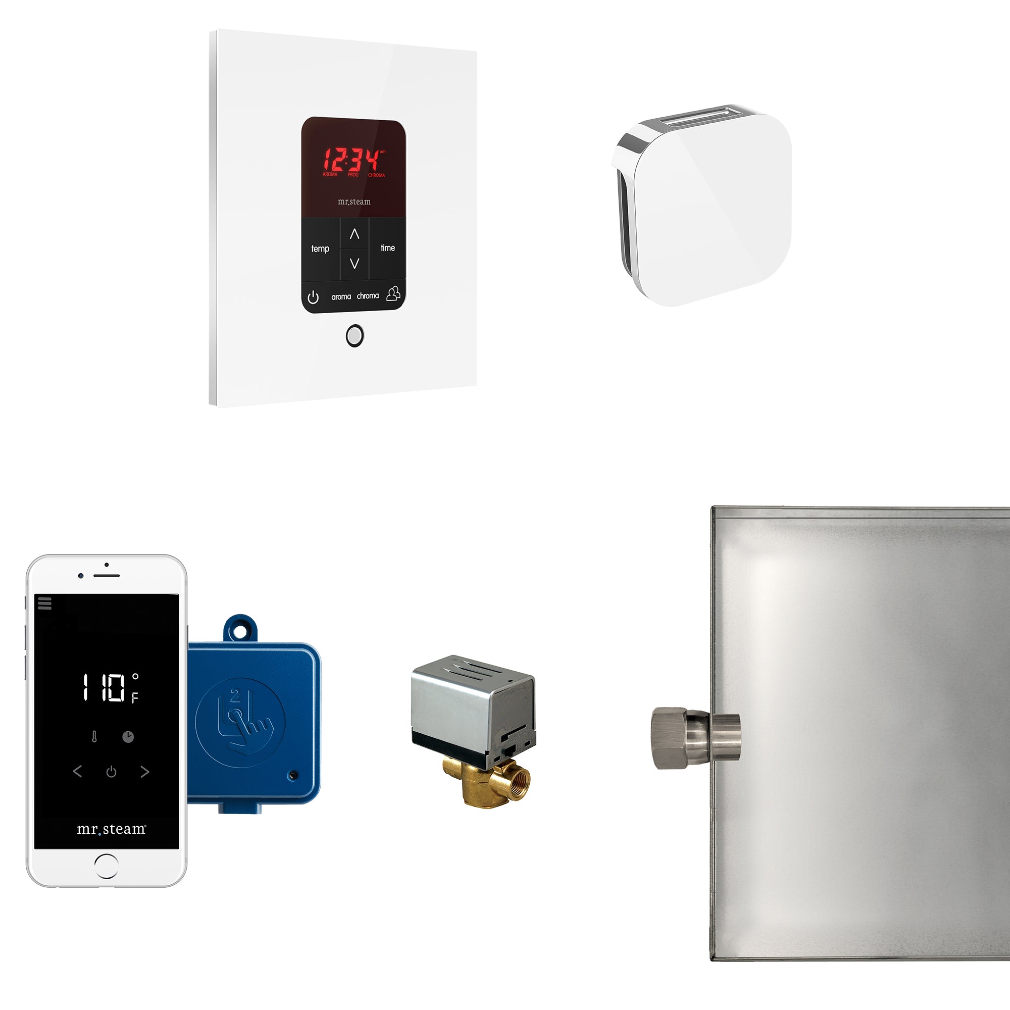 Mr Steam Butler Steam Shower Control Package with iTempoPlus Control and Aroma Designer SteamHead