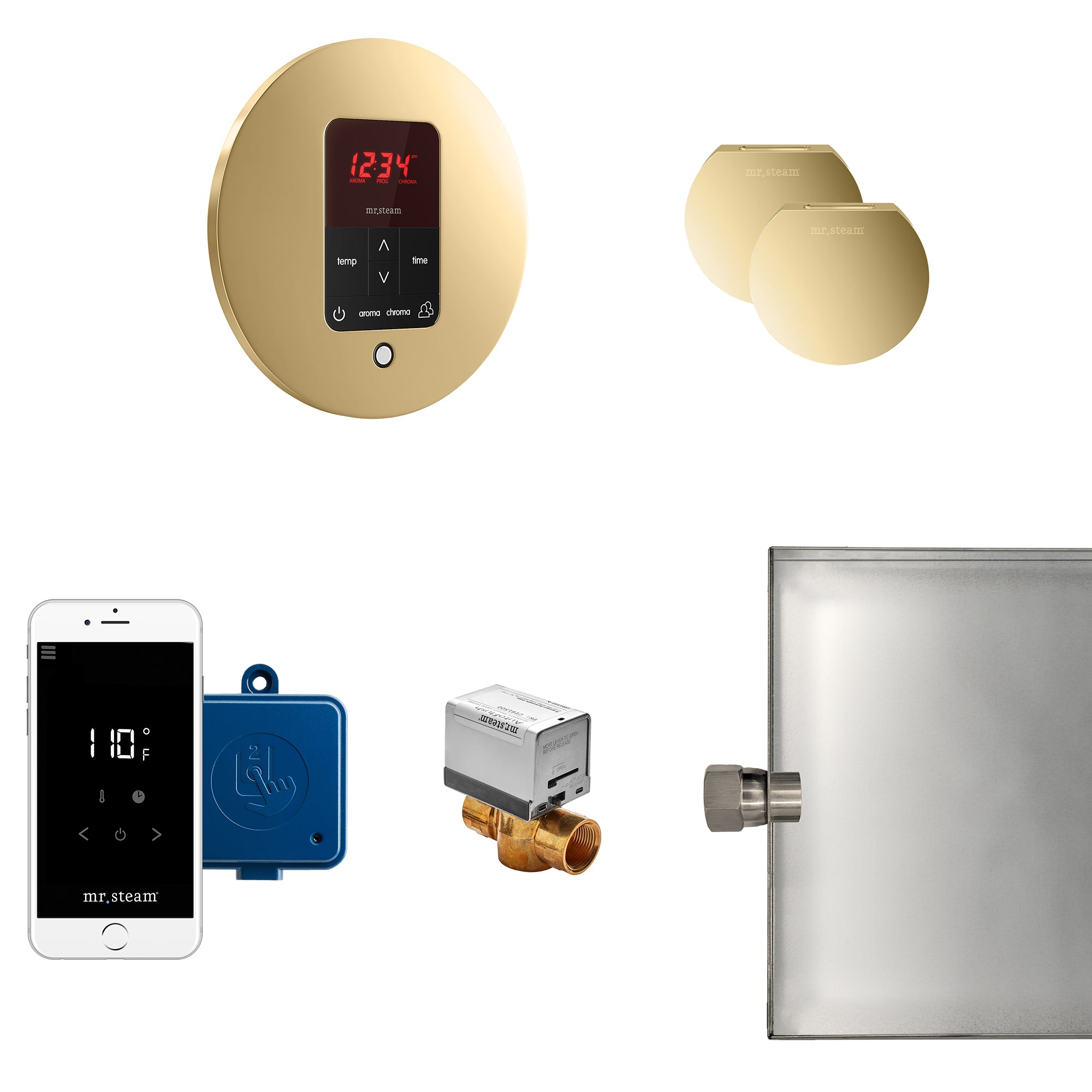 Mr Steam Butler Max Steam Shower Control Package with iTempoPlus Control and Aroma Designer SteamHead